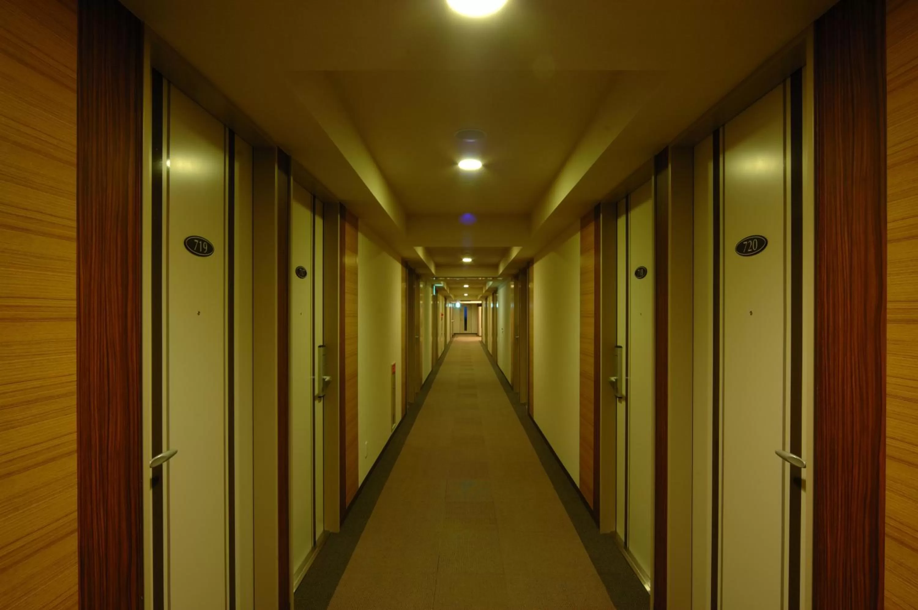 Decorative detail in Hotel Route-Inn Kushiro Ekimae