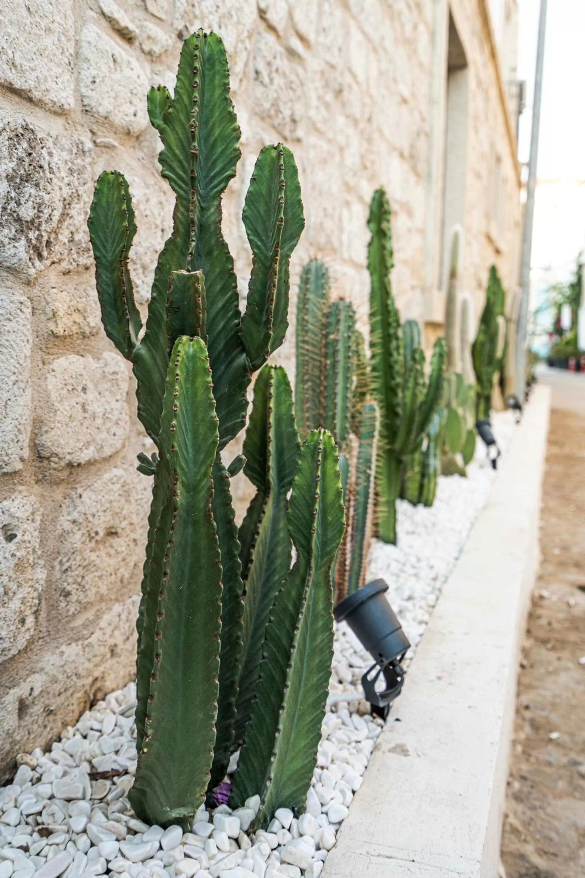 Off site in Voger Alaçatı Köyiçi