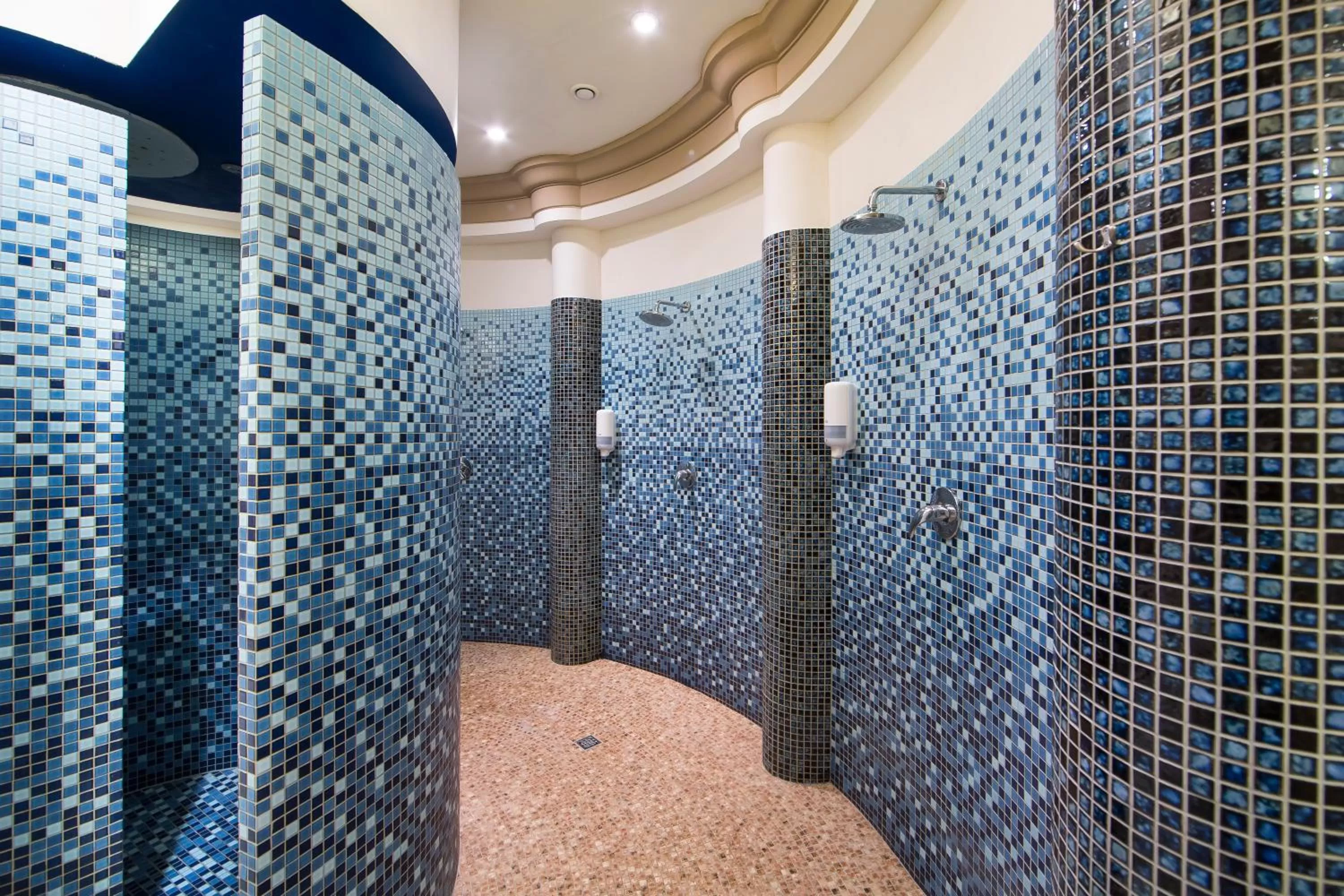 Swimming pool in Hotel Król Kazimierz