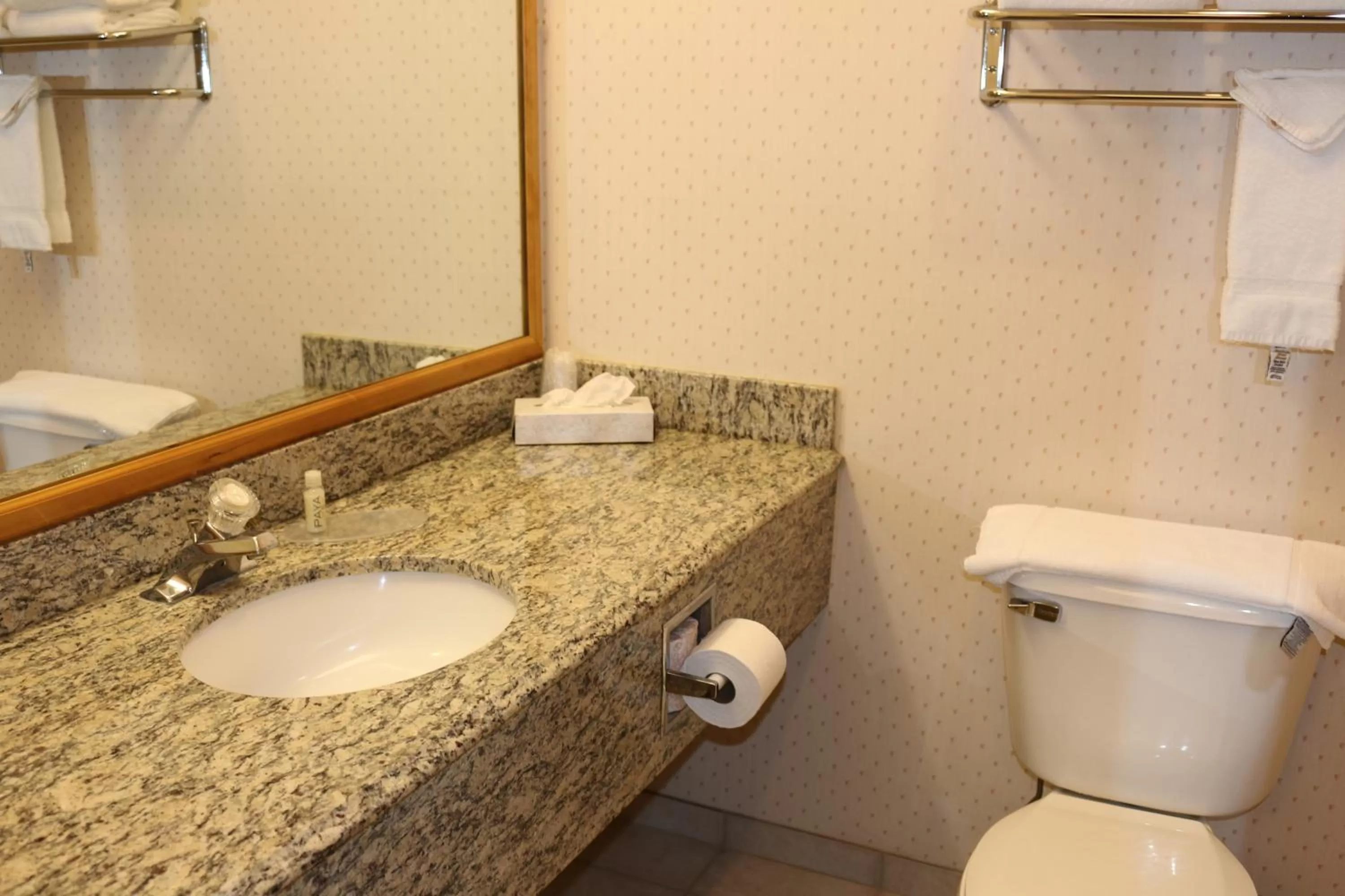 Toilet in Gray Wolf Inn & Suites
