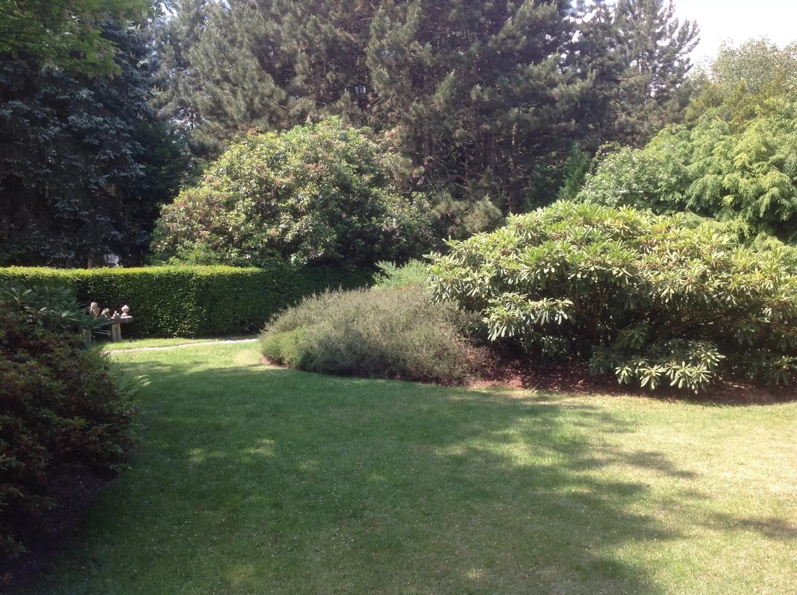 Garden in Guesthouse 't Goed Leven
