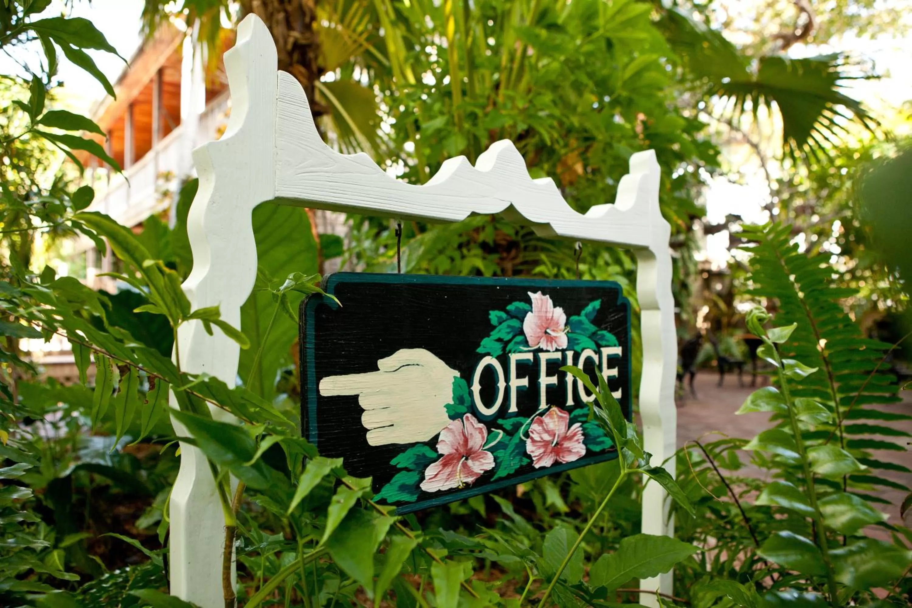 Area and facilities in Island City House