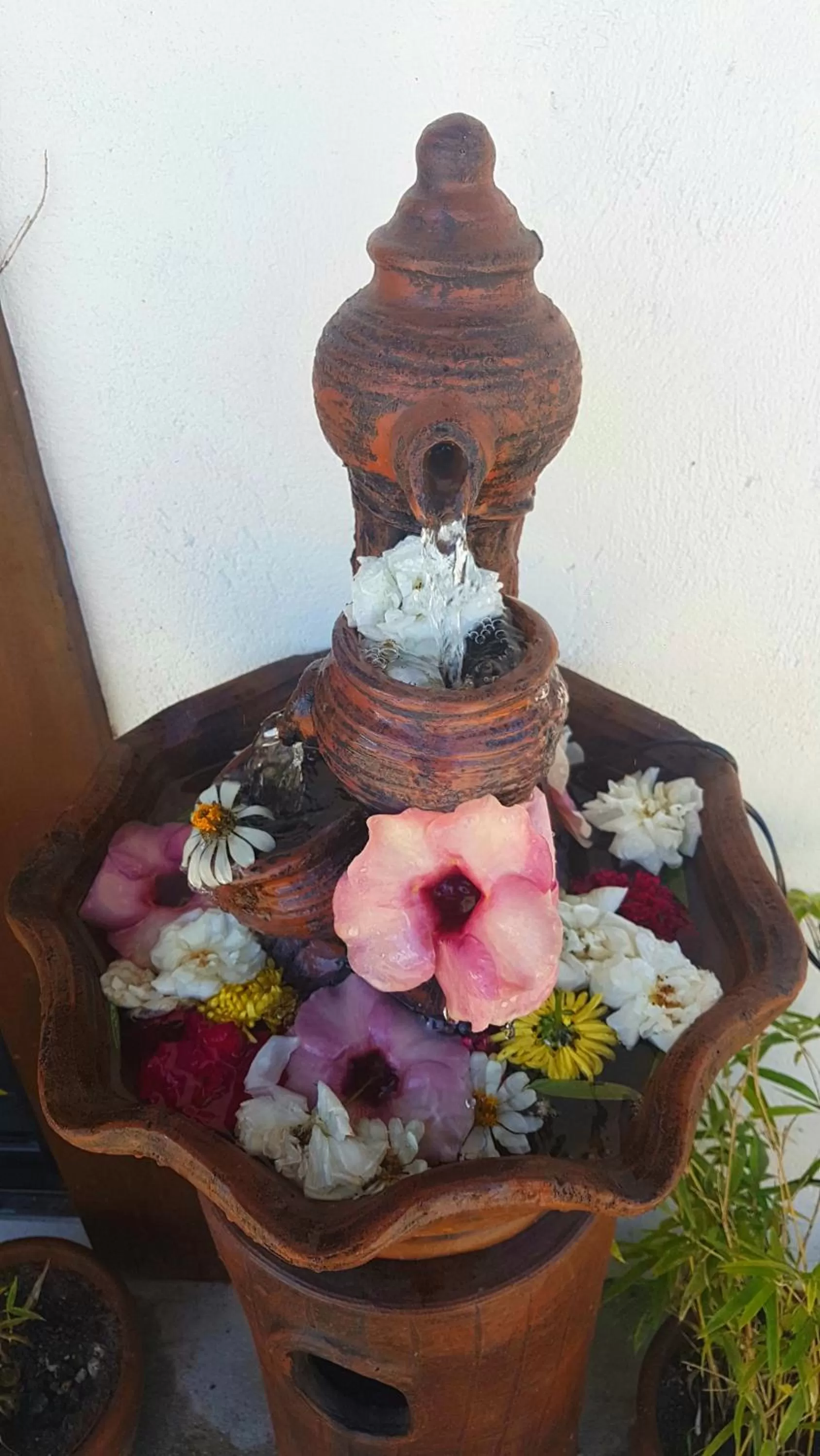 Spa and wellness centre/facilities in Tropical Fun Ta Sea Rentals