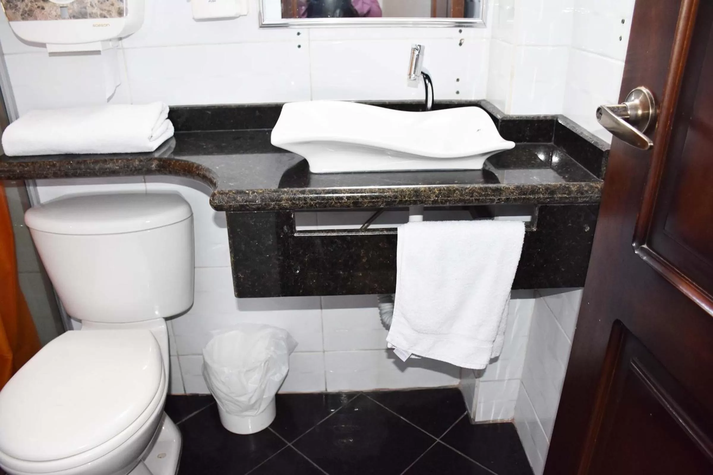 Bathroom in Hotel Plaza Victoria