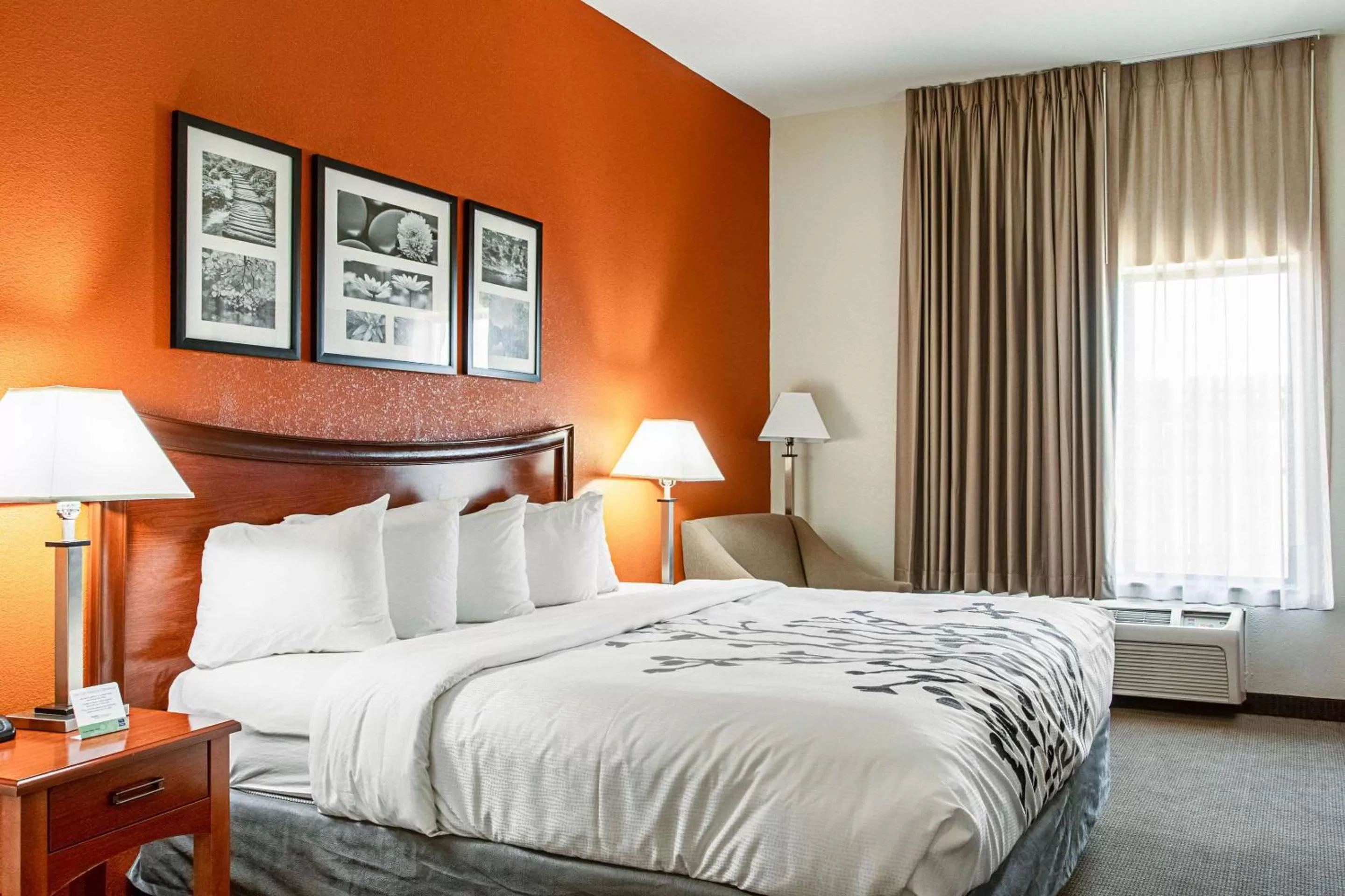 Photo of the whole room, Bed in Sleep Inn & Suites Hobbs