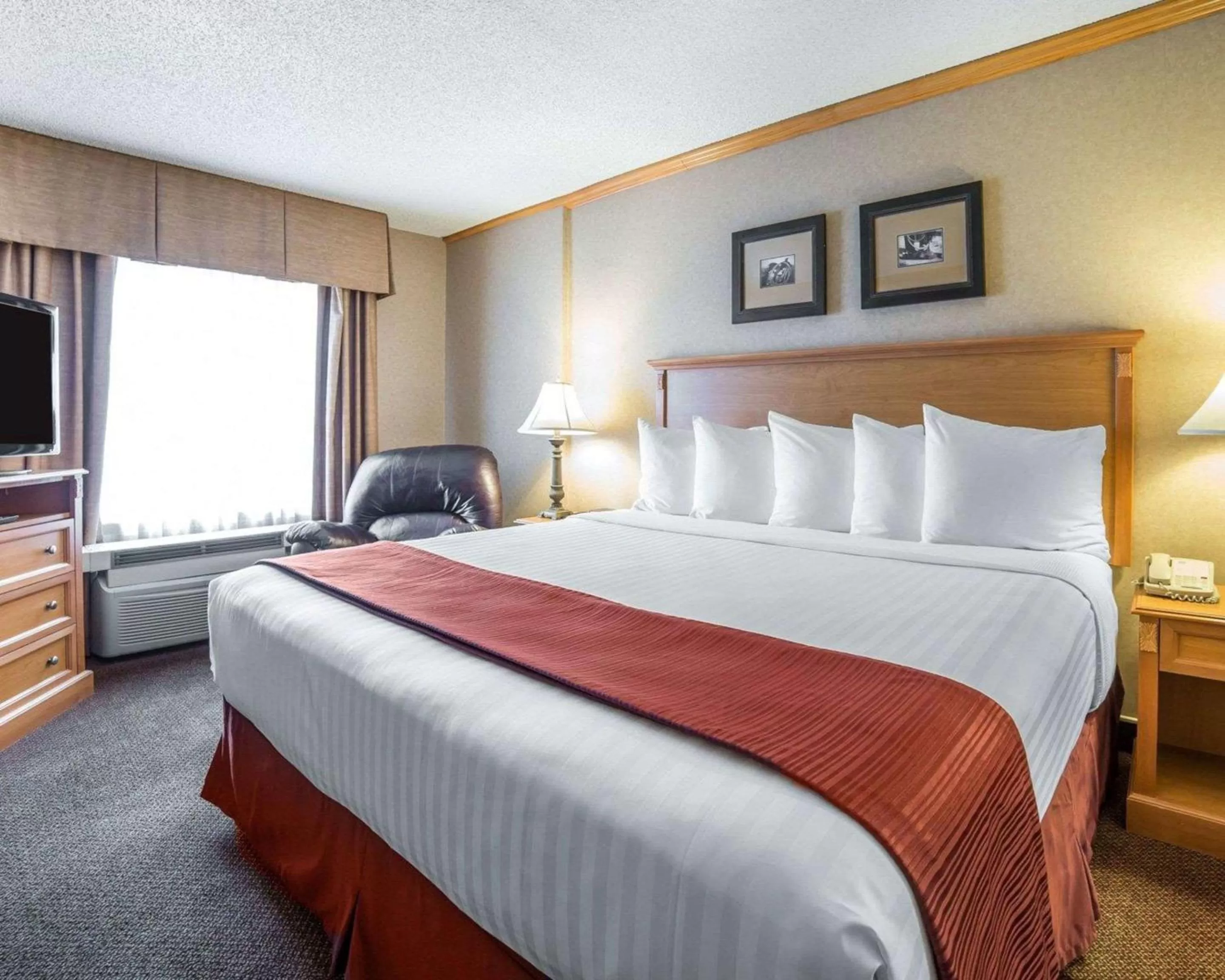 Photo of the whole room, Bed in Quality Inn & Suites Casper near Event Center