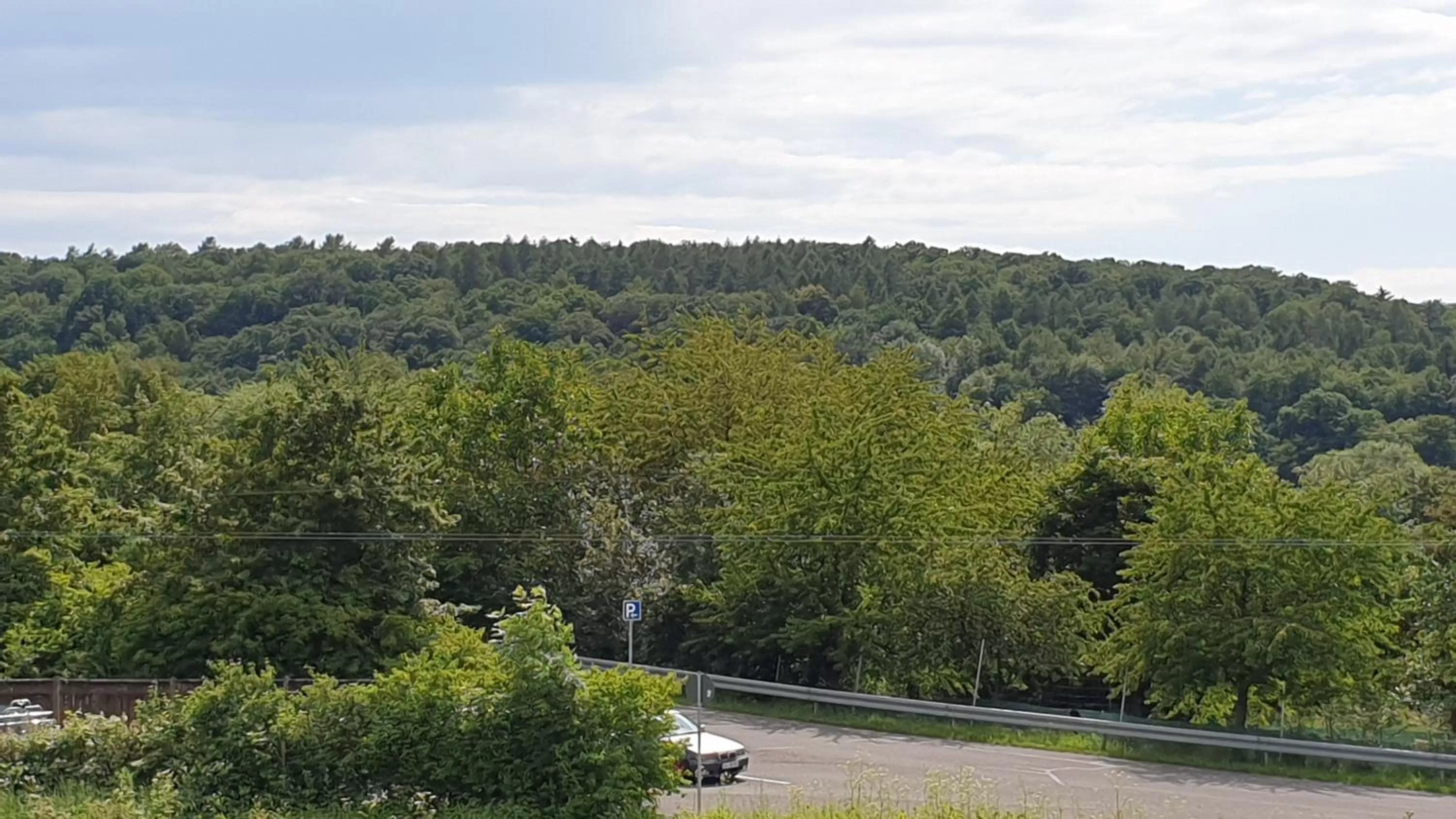 Summer in Mainstern Hotel