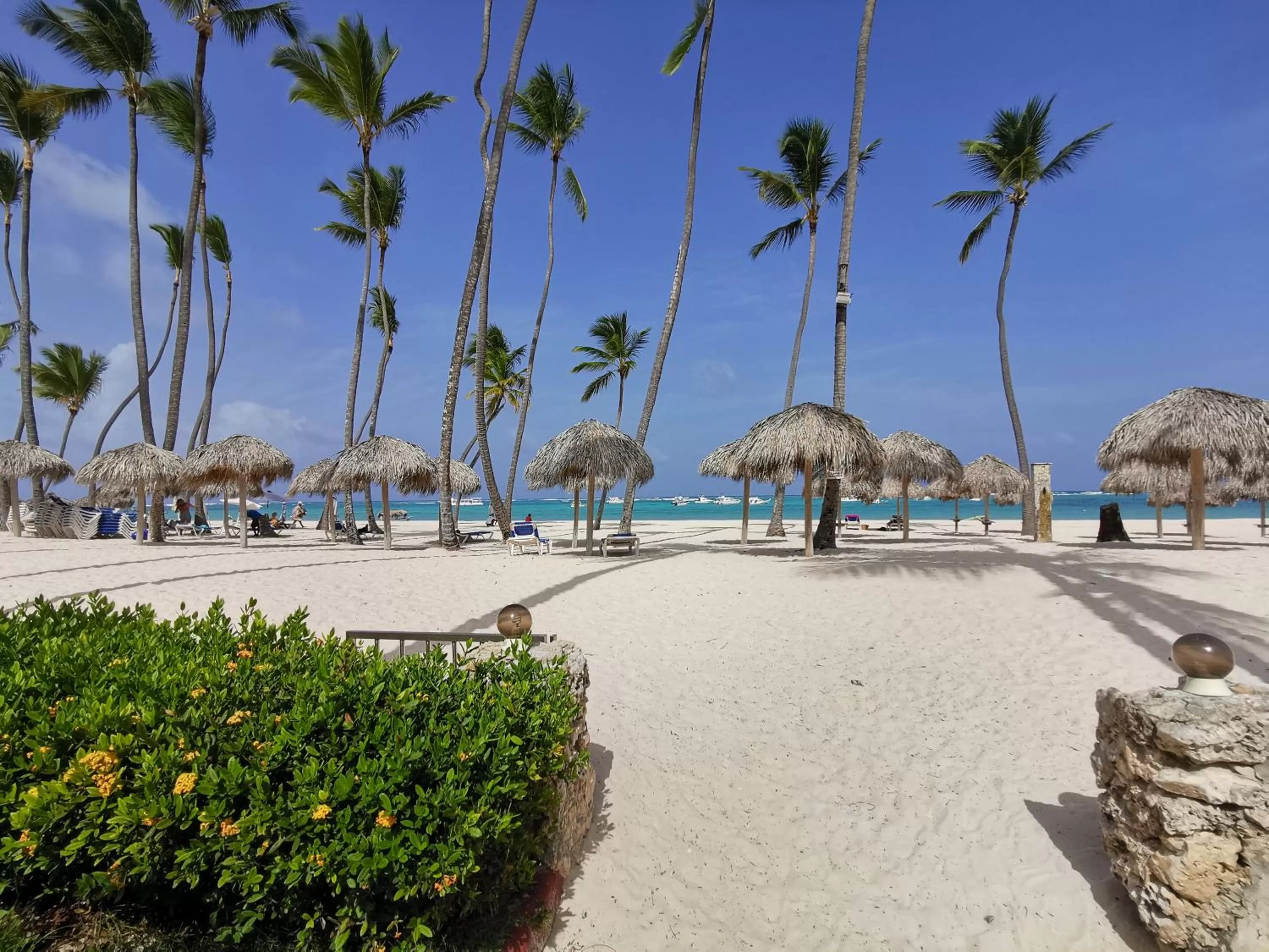 Beach in TROPICAL VILLAGE playa LOS CORALES