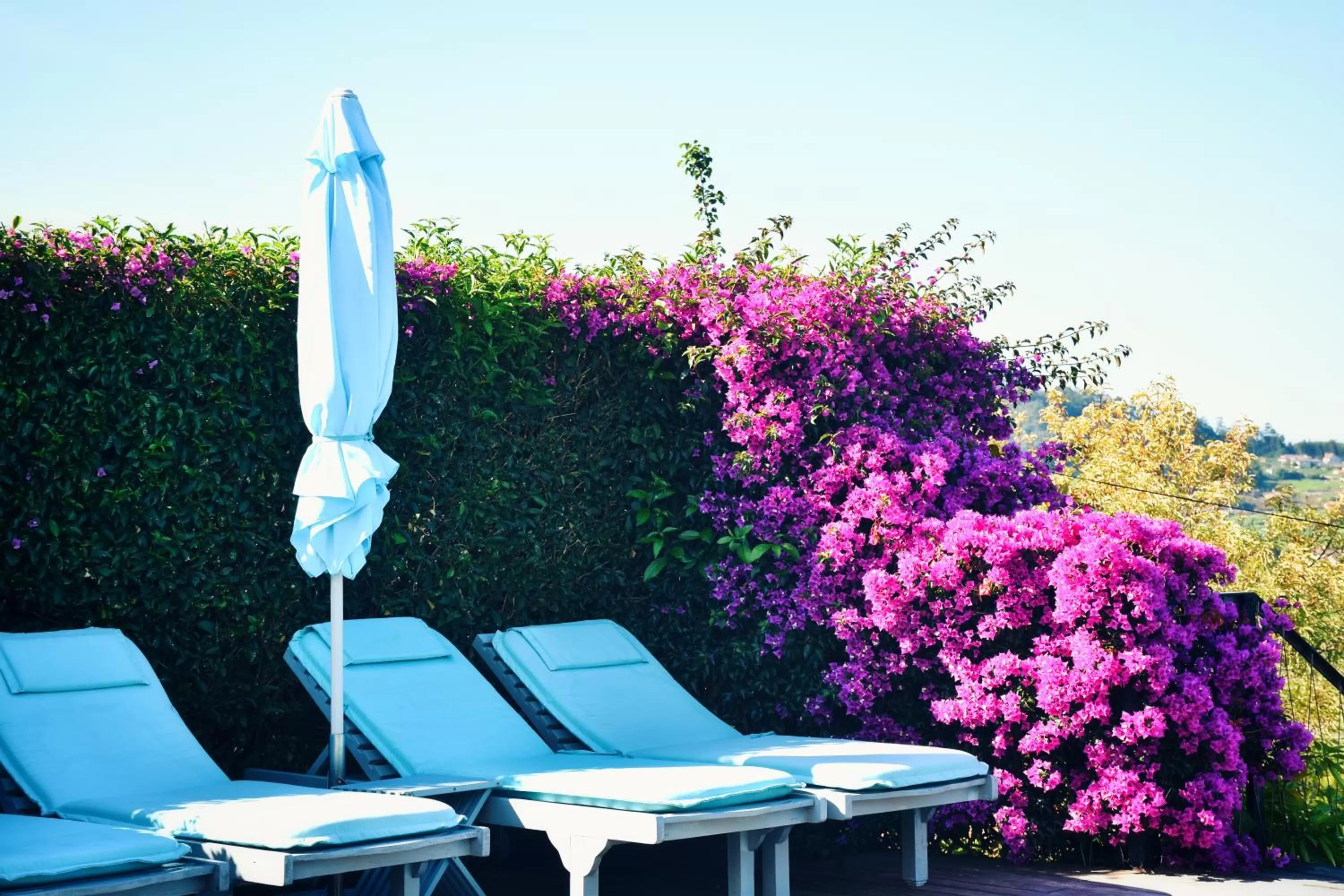 Quinta de San Amaro Rias Baixas