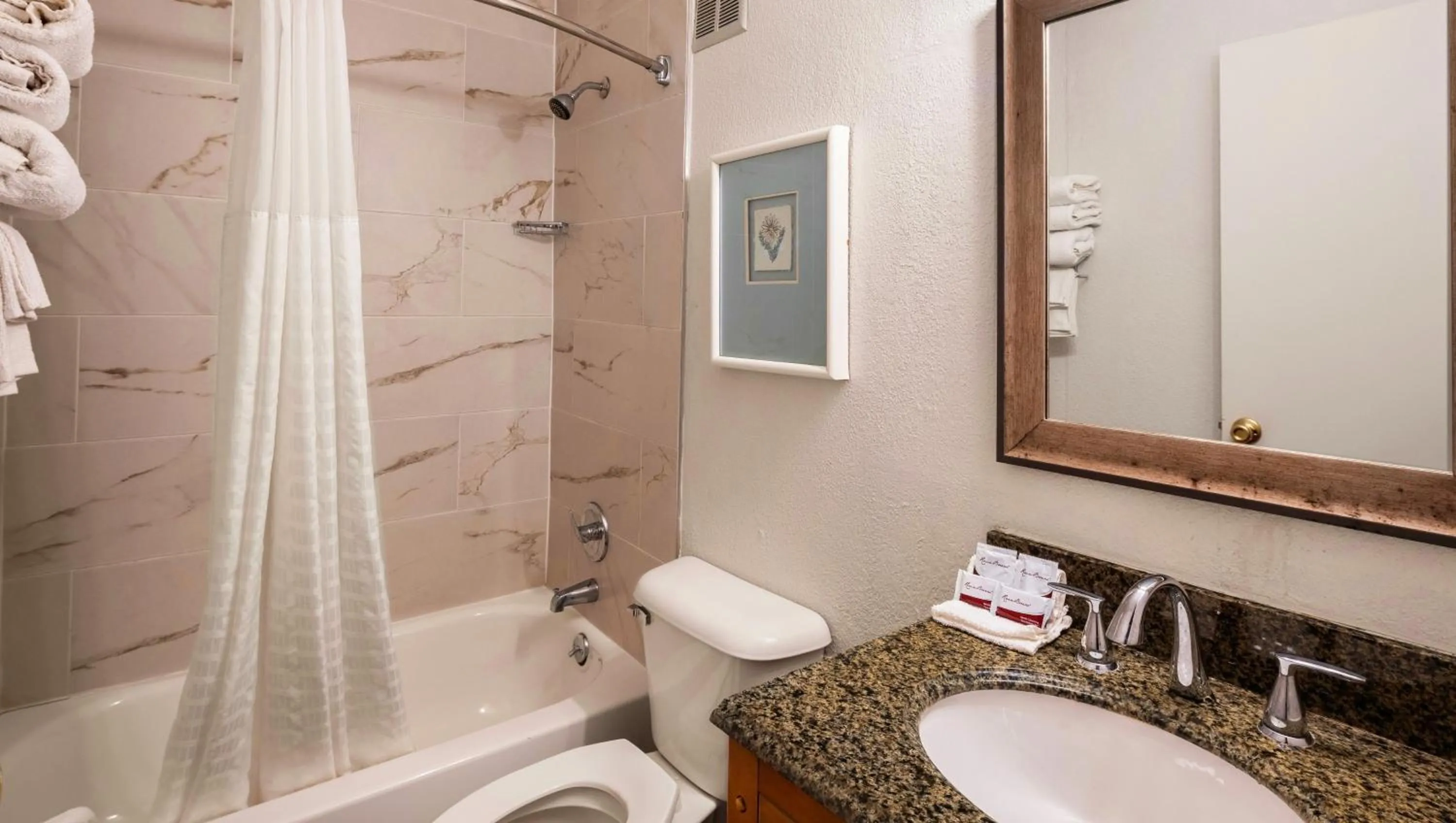 Bedroom in Magnuson Hotel Detroit Airport