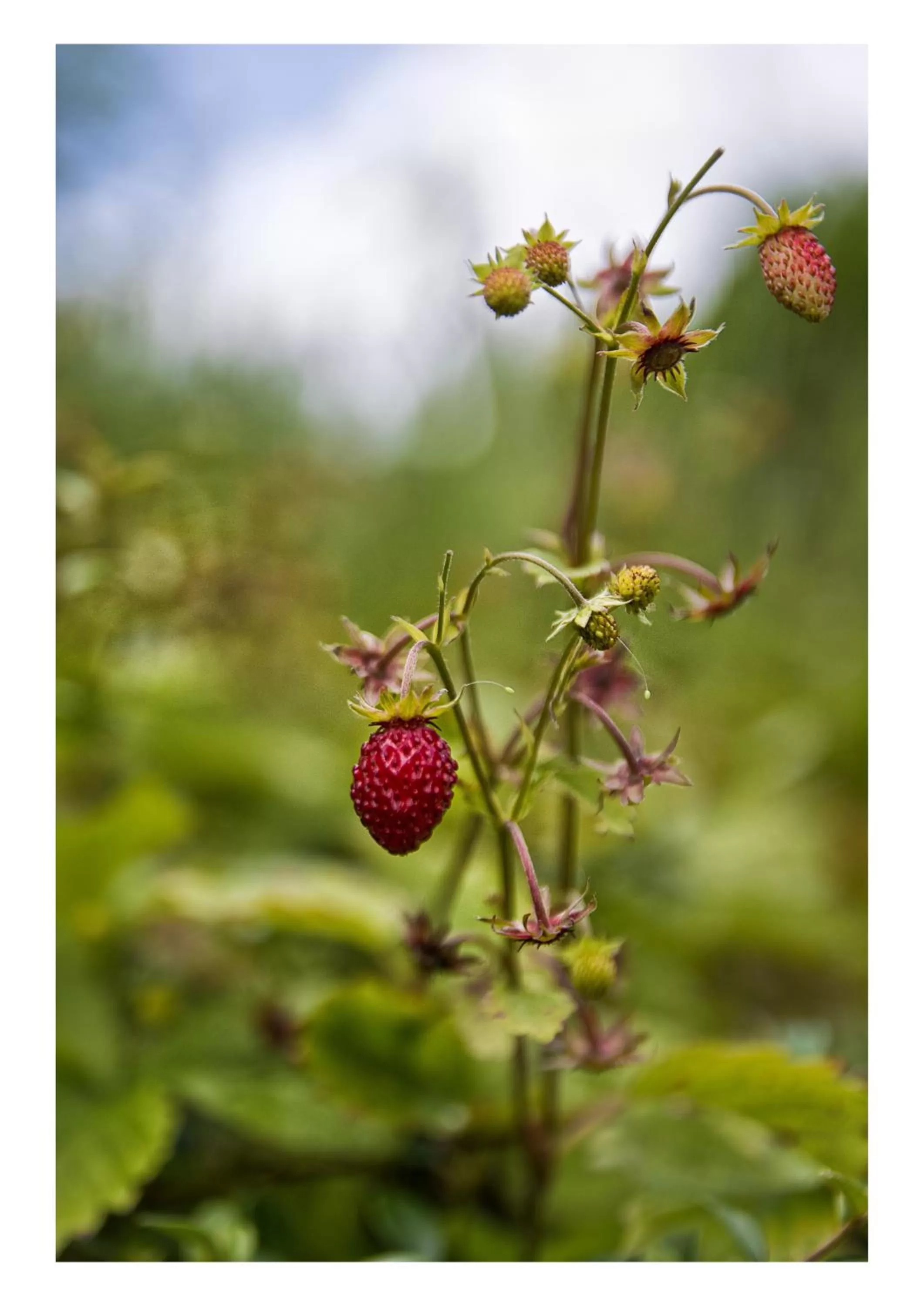 Facade/entrance in Öko-Landhotel Basler Hof