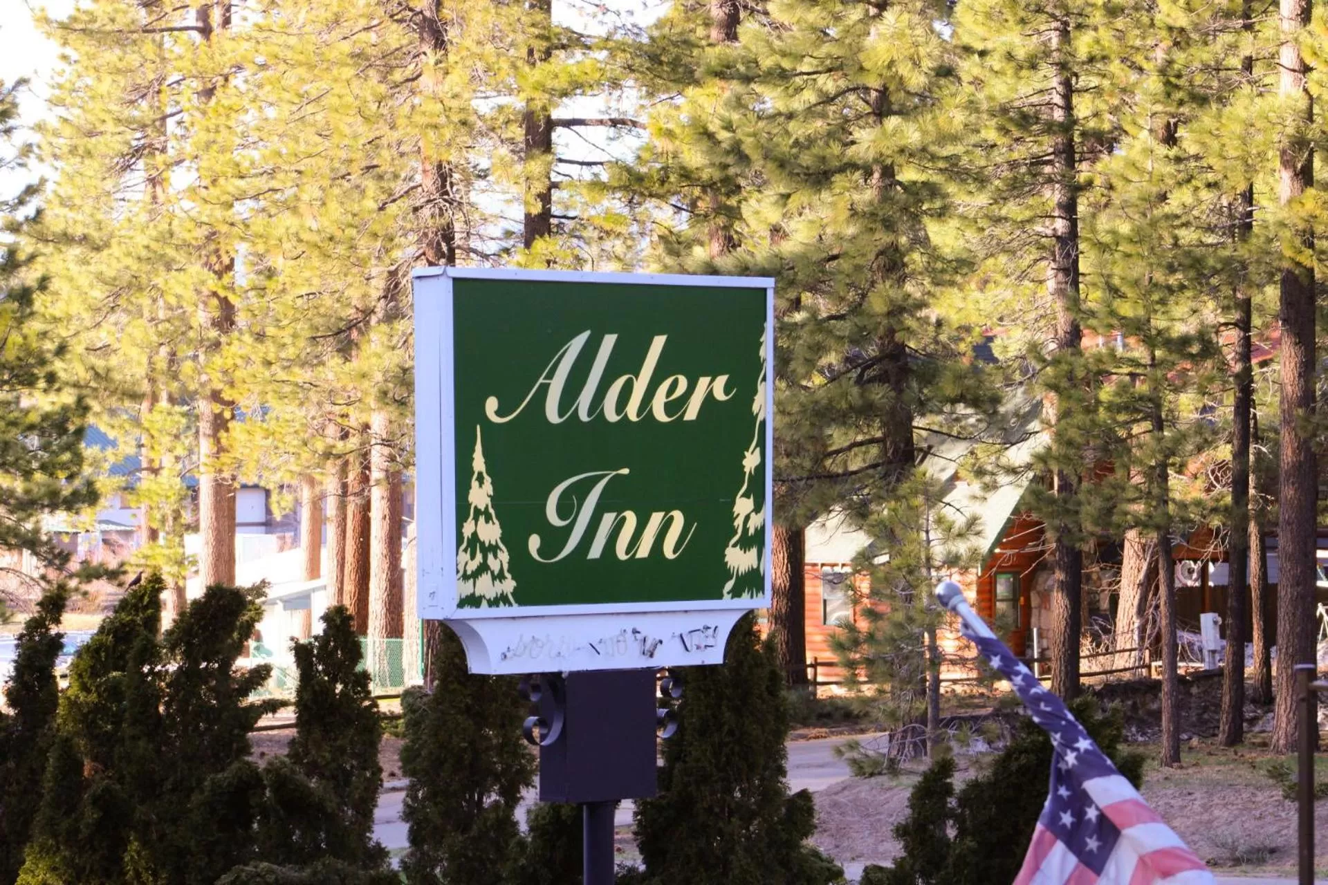 Day in The Alder Inn