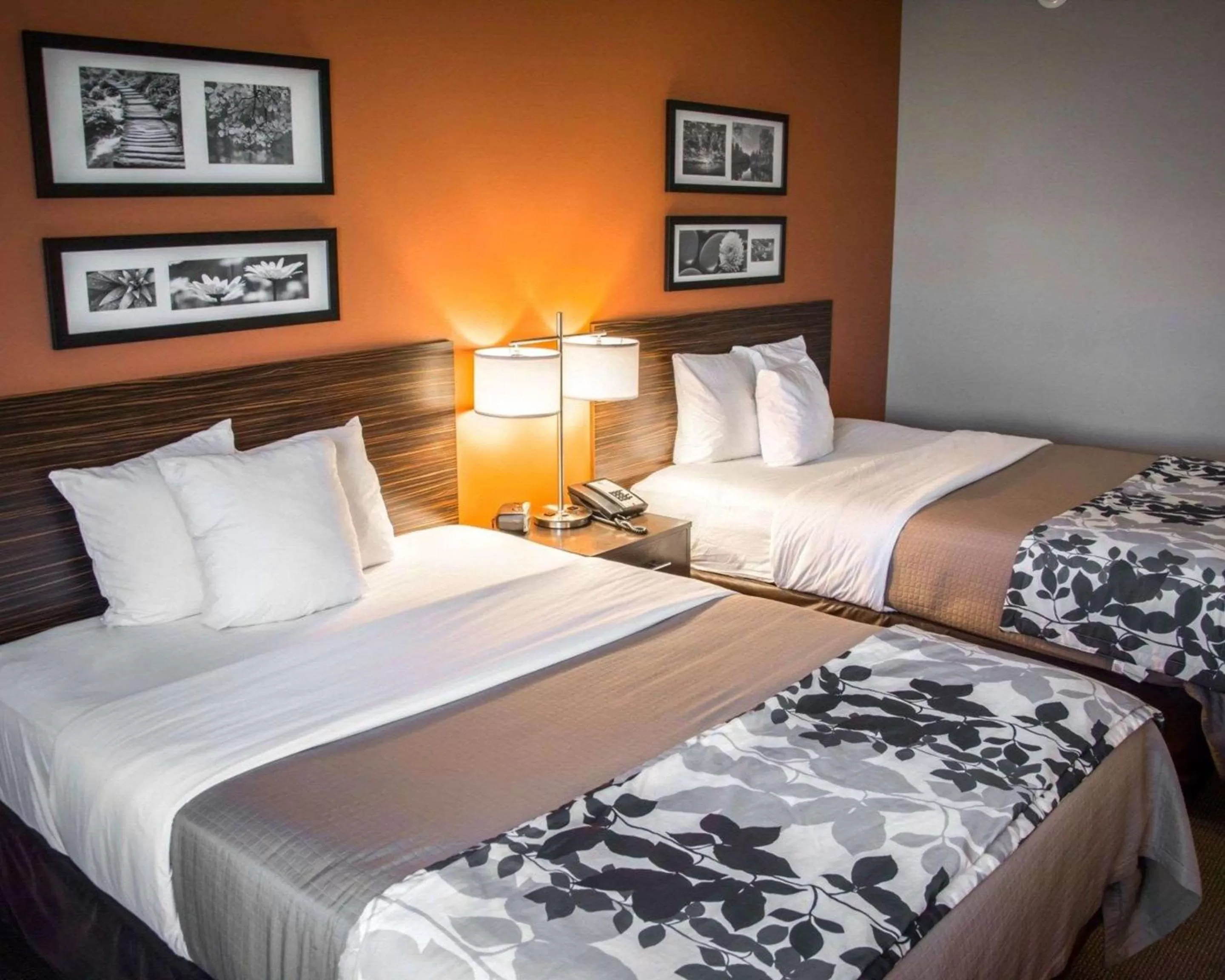 Photo of the whole room, Bed in Sleep Inn & Suites Shreveport near Medical Center