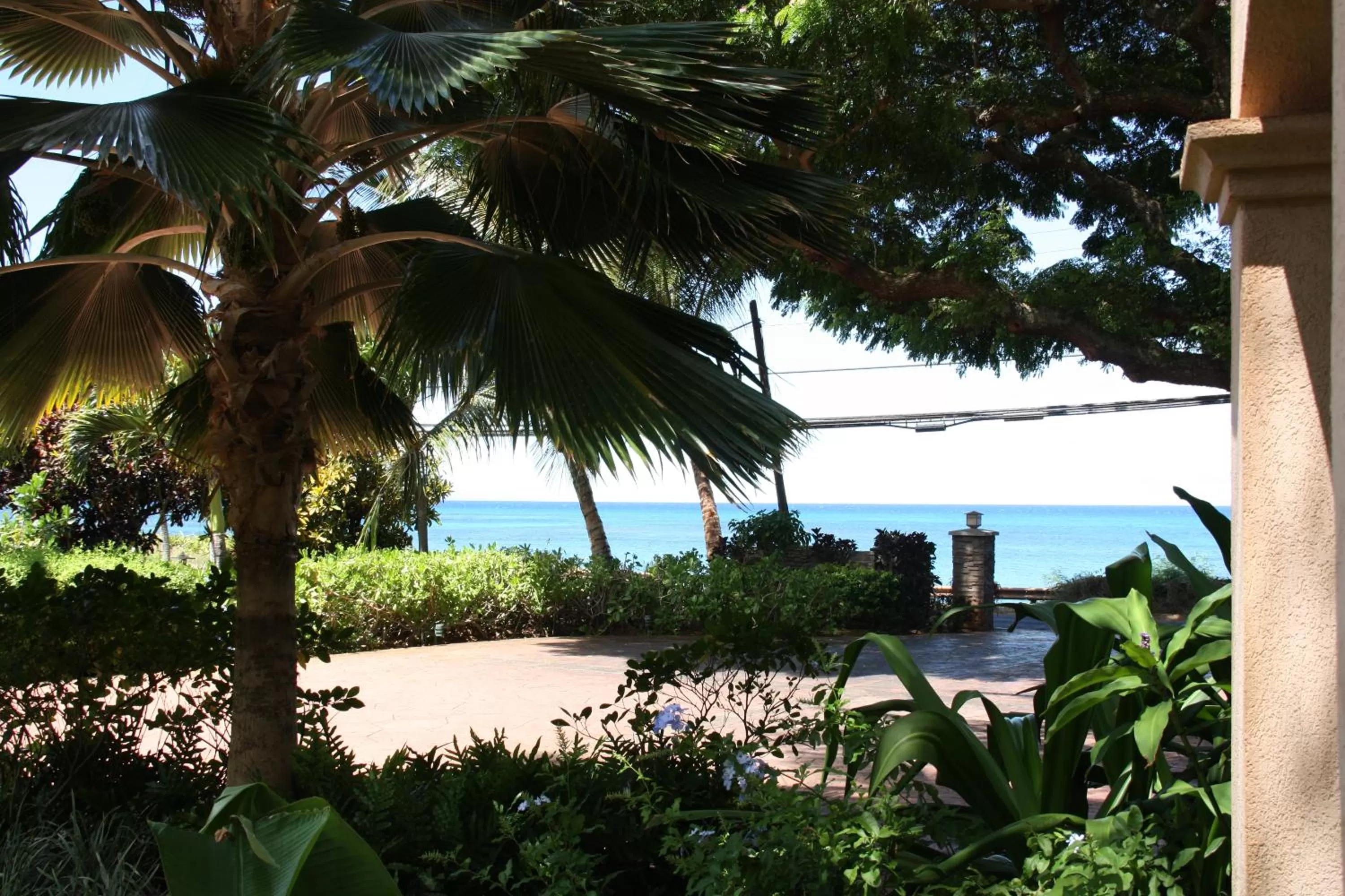 Garden view in Maui Beach House B & B