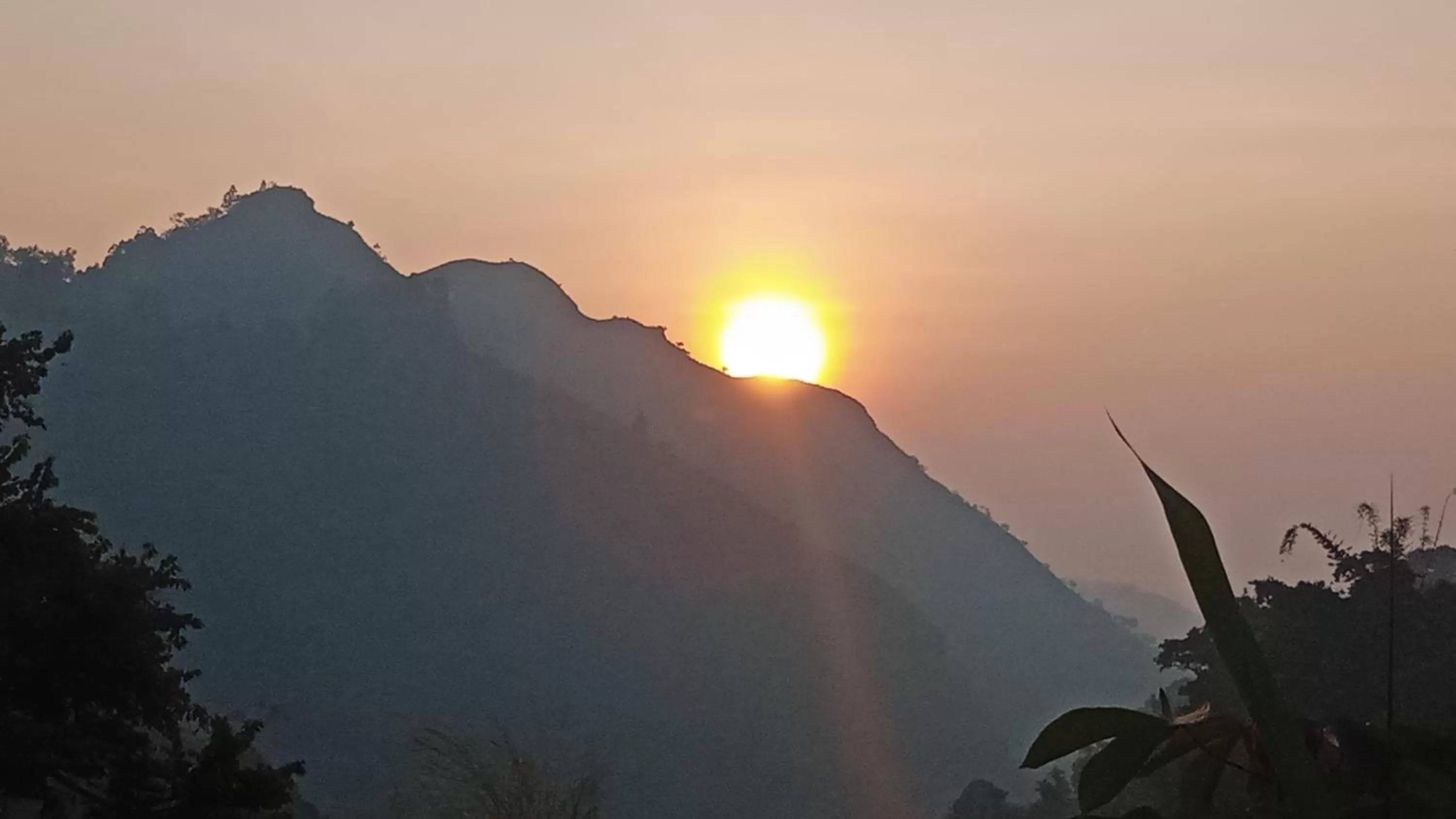 Ella Lucky Panoramic