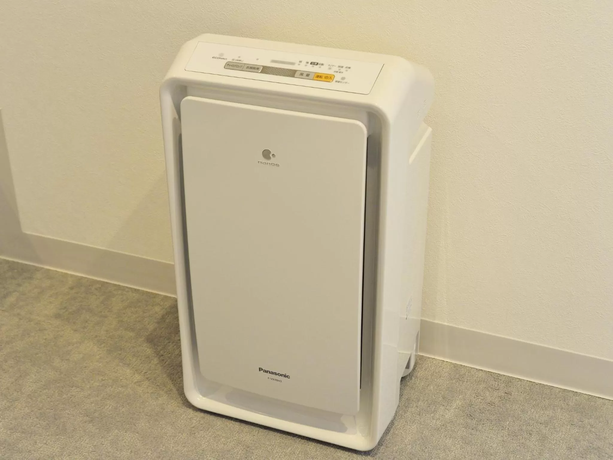 Area and facilities in LC Goryokaku Hotel