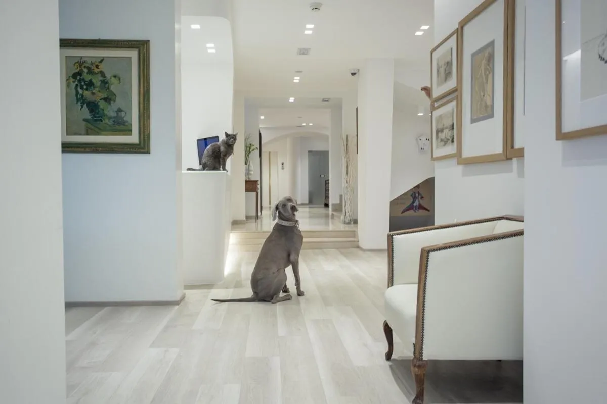 Lobby or reception in Hotel Principe