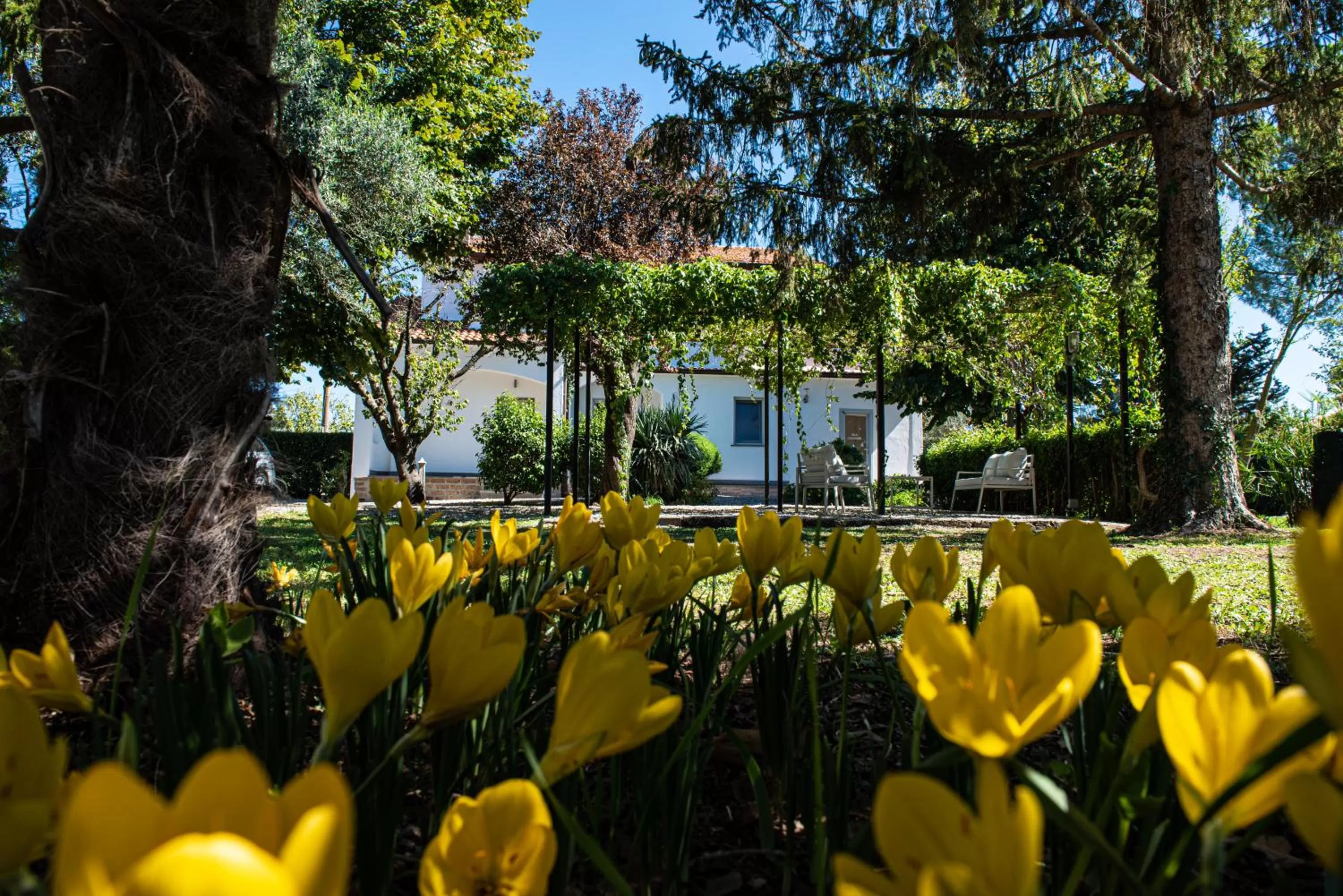 Garden in Terre Etrusche Guest House