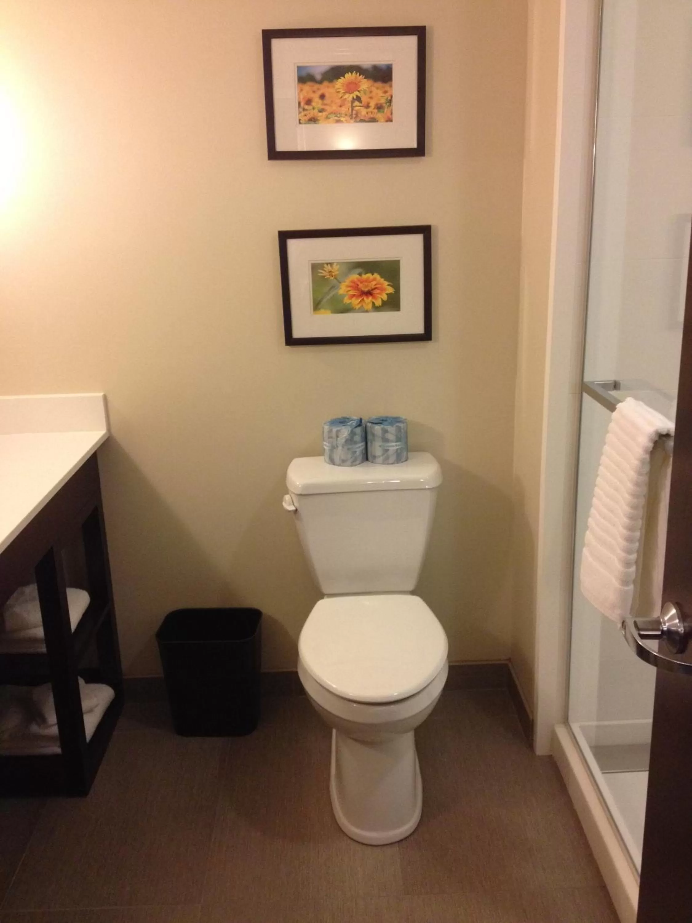 King Suite with Sofa Bed-Non-Smoking in Comfort Suites-Youngstown North