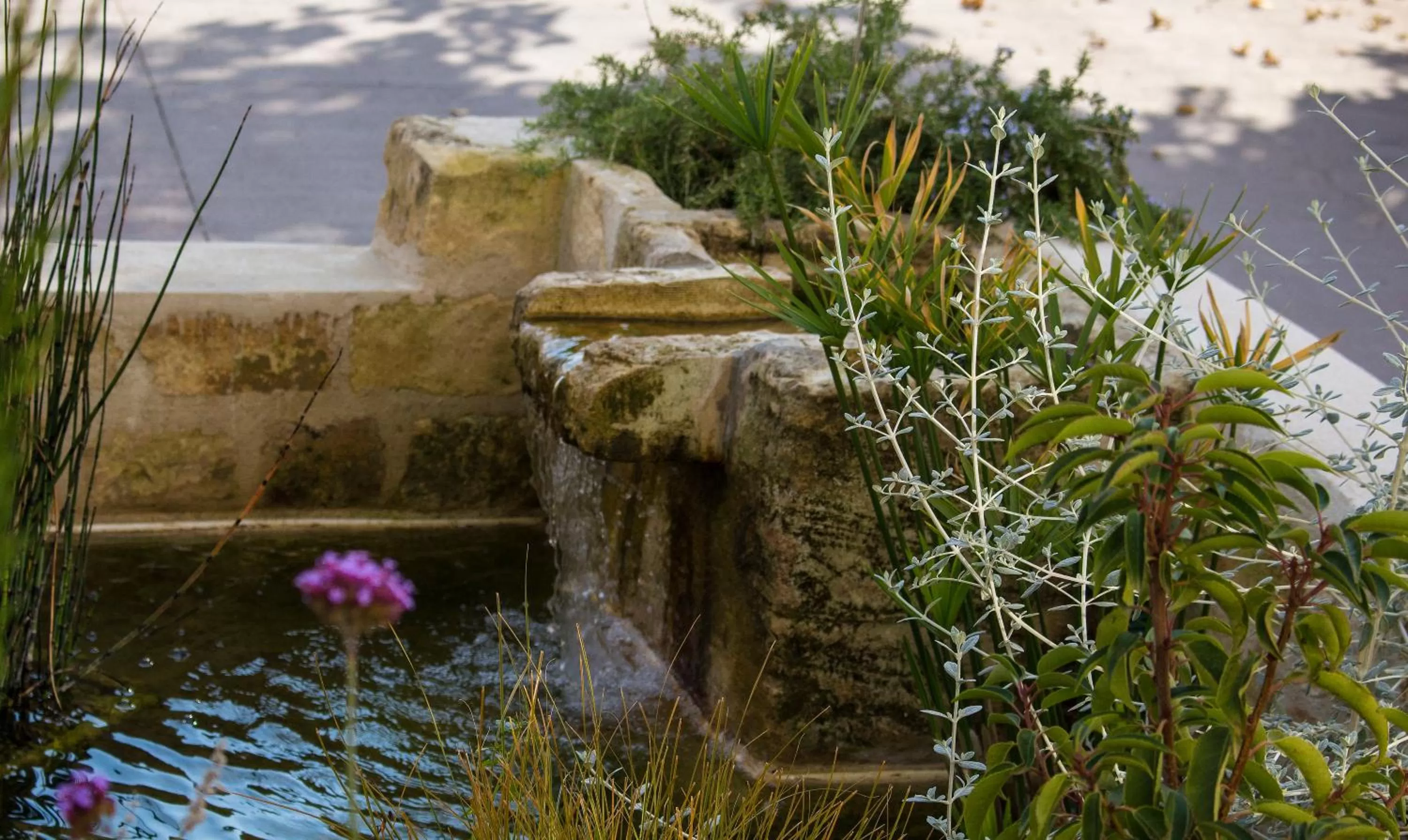 Other in Hotel Le Mas Saint Joseph