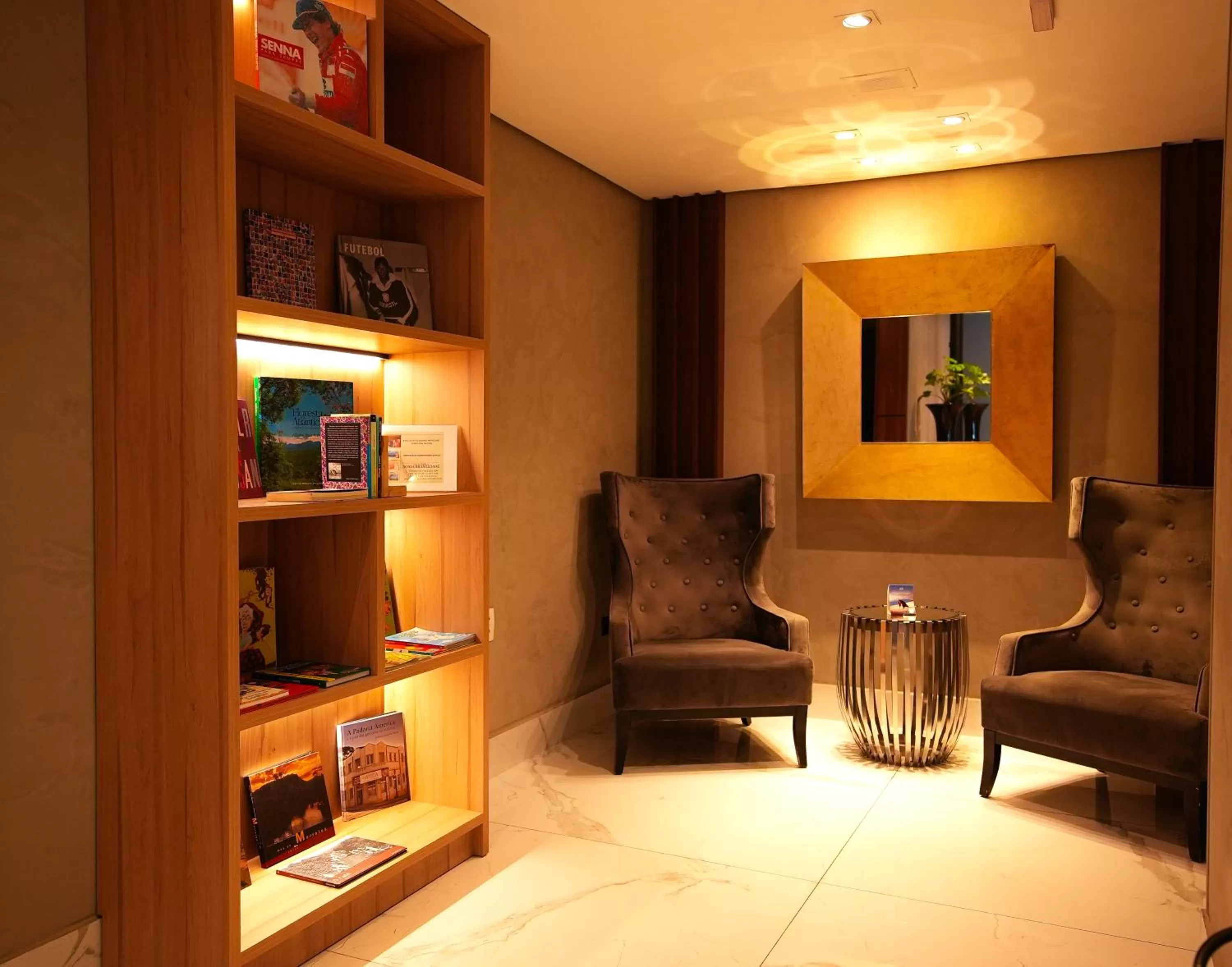 Library in Grand Mercure Curitiba Rayon