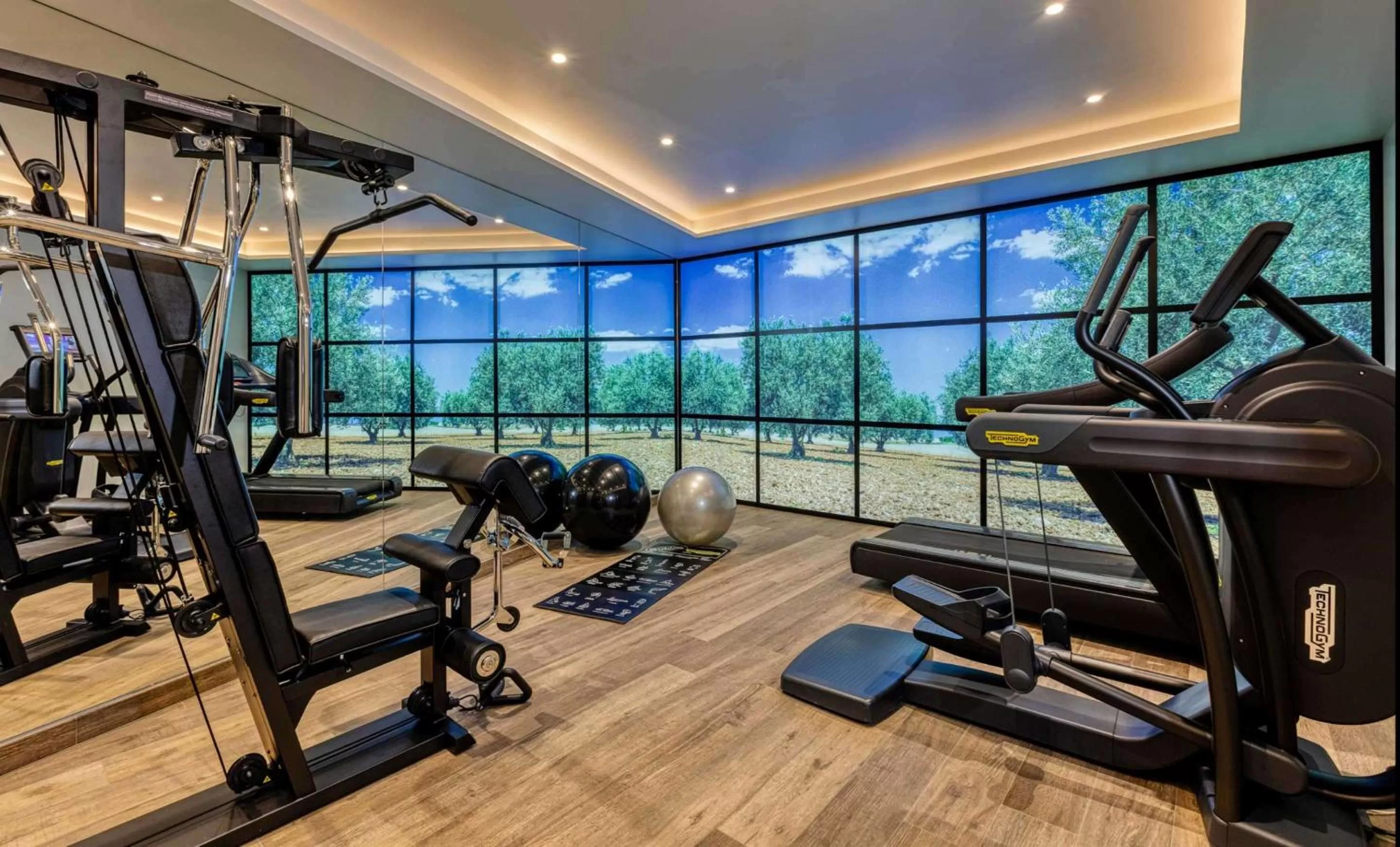 Fitness centre/facilities in Best Western Plus Le Lavarin