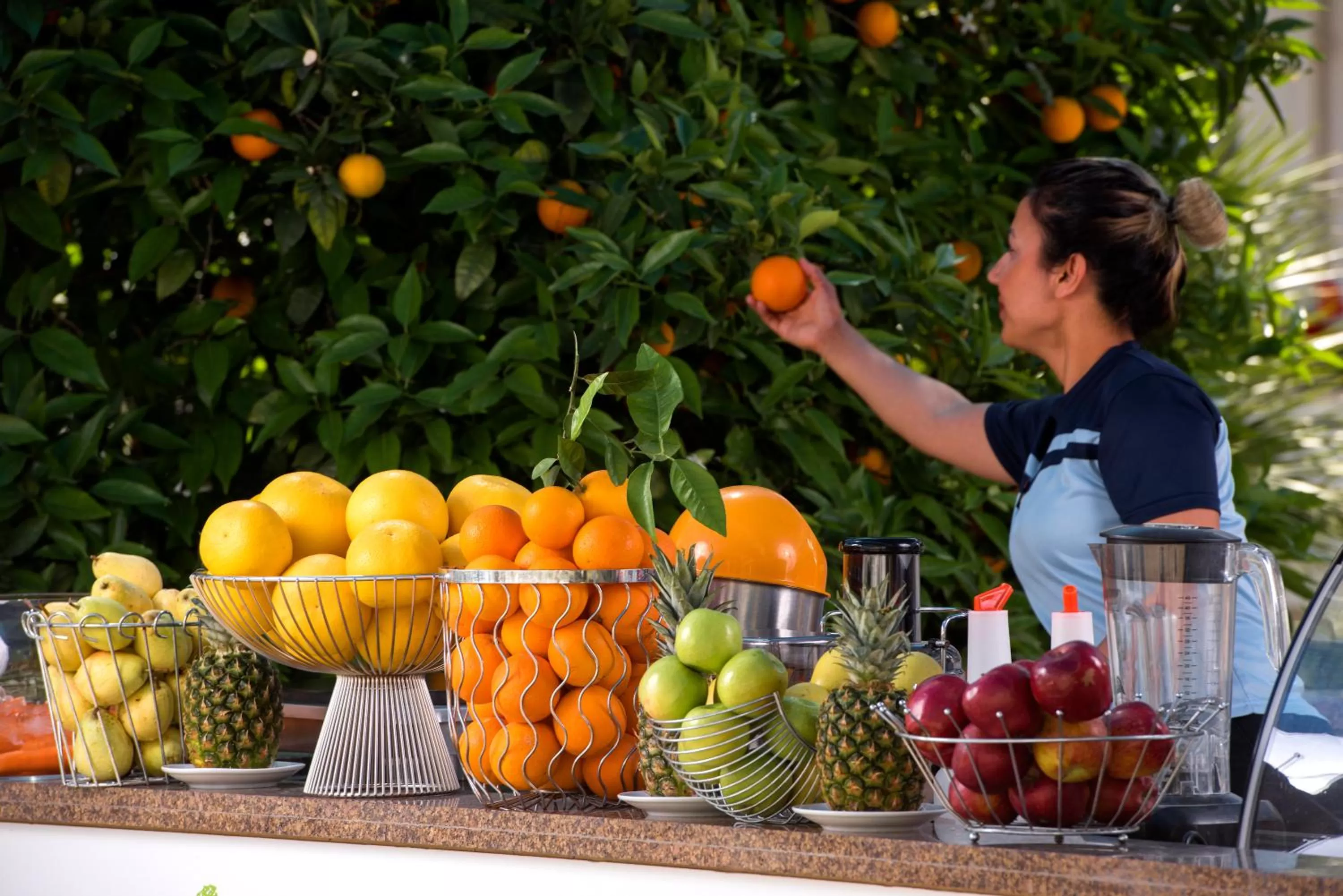 Lounge or bar in Barut B Suites