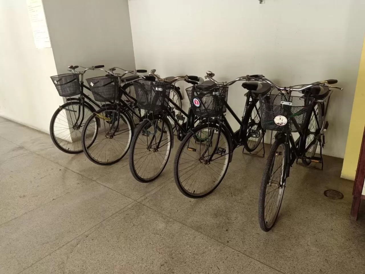 Cycling in Sun Hotel