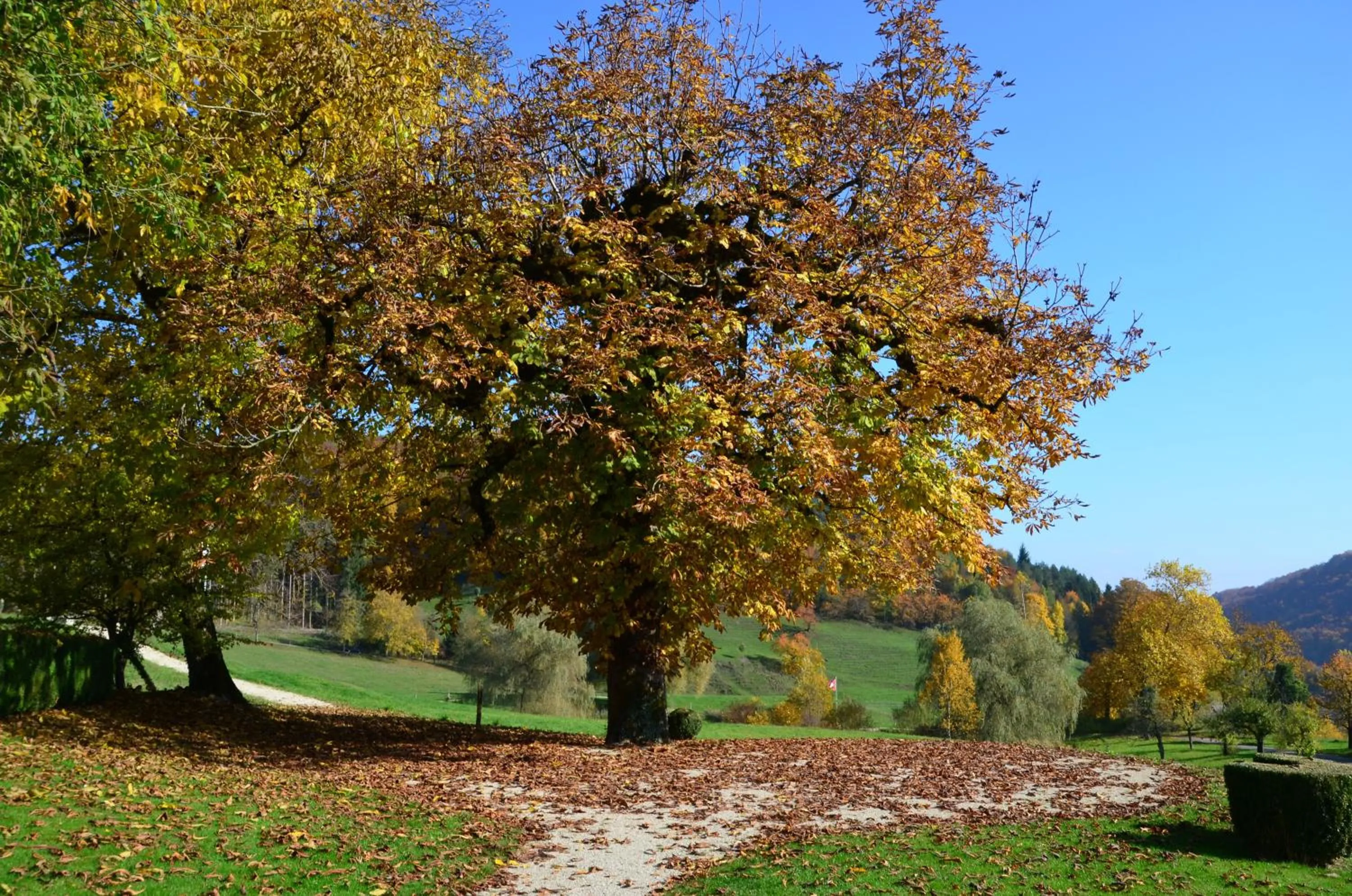 Natural landscape in Bad Schauenburg