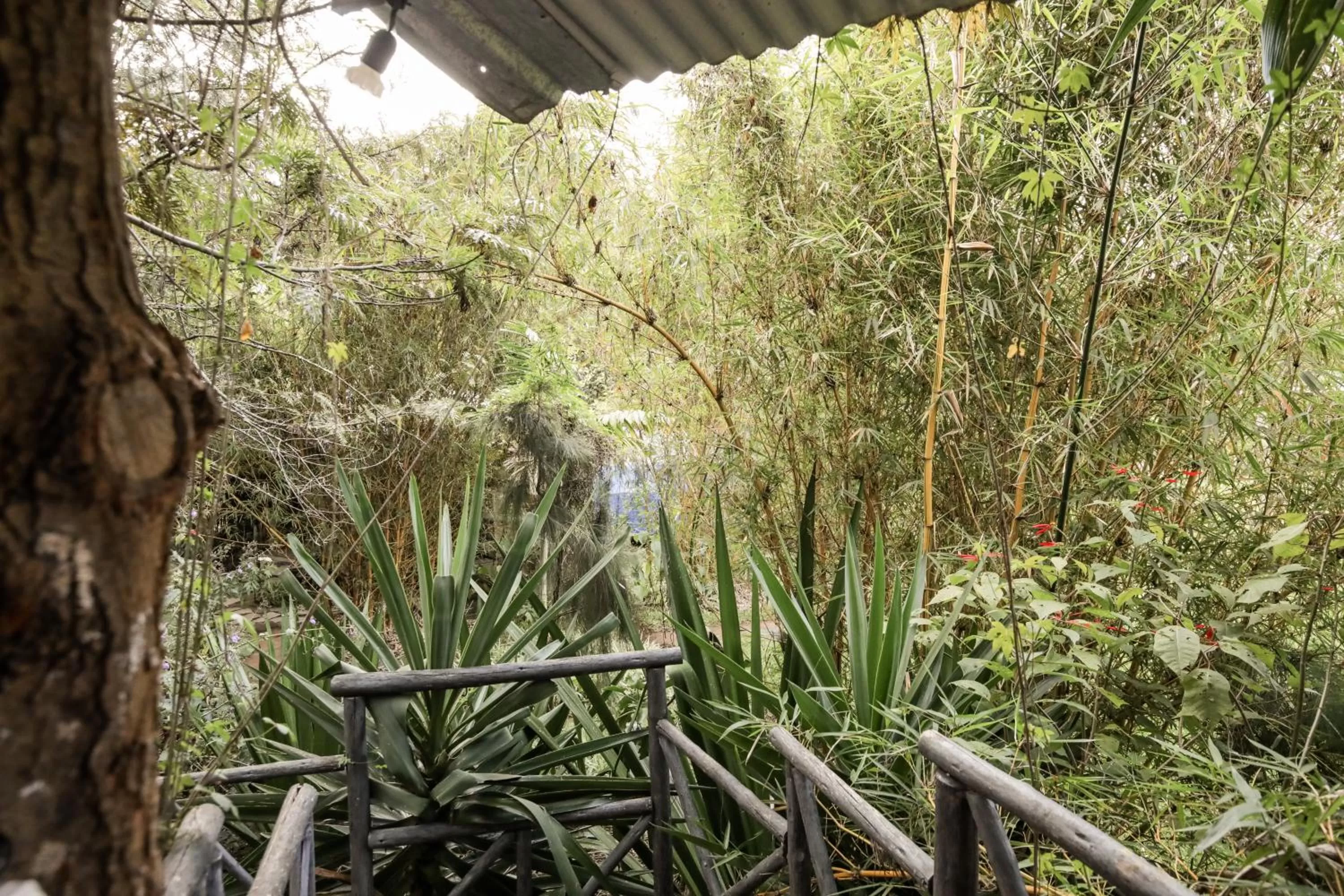 Property building in Fravan Eco Resort By Apogee