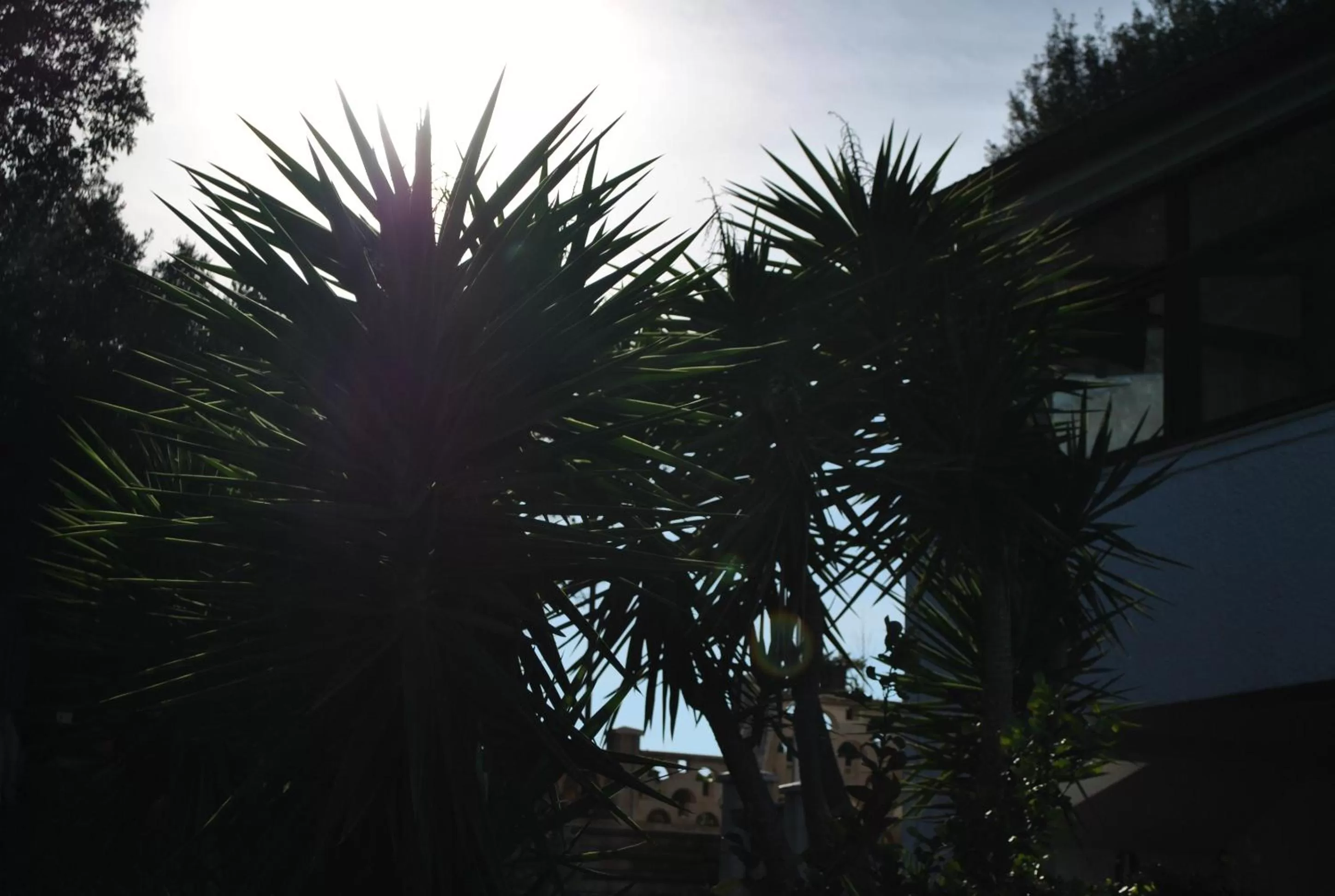 Le Dimore Del Sarto Polignano a mare