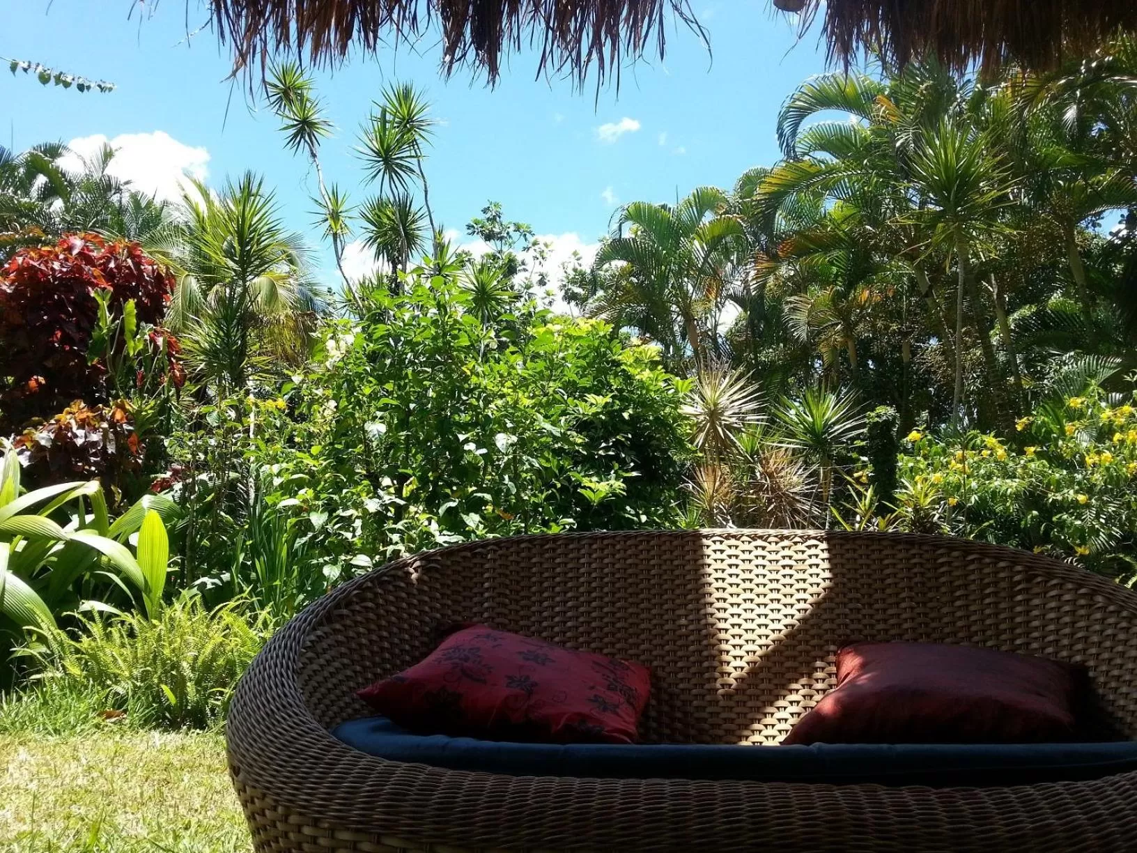 Garden in Hotel Eco Sítio Nosso Paraíso