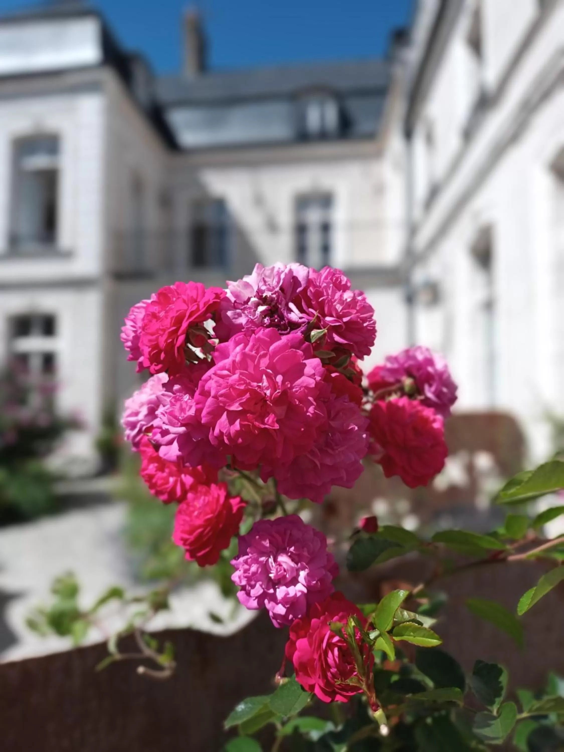 Inner courtyard view in Hôtel Loysel le Gaucher
