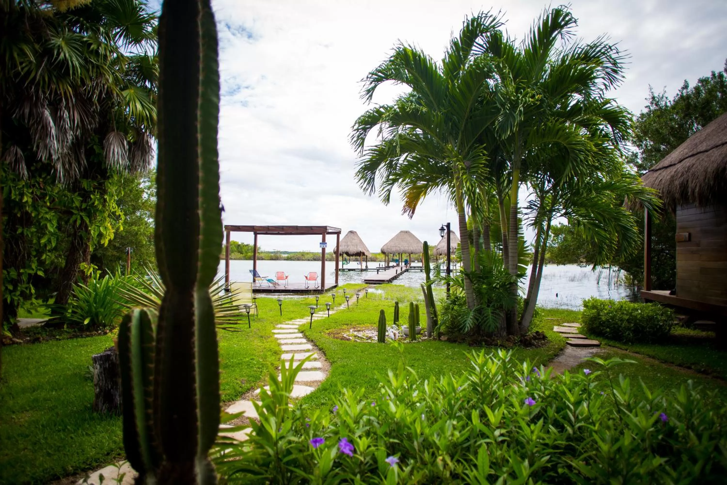 Garden in Casa Shiva Bacalar by MIJ