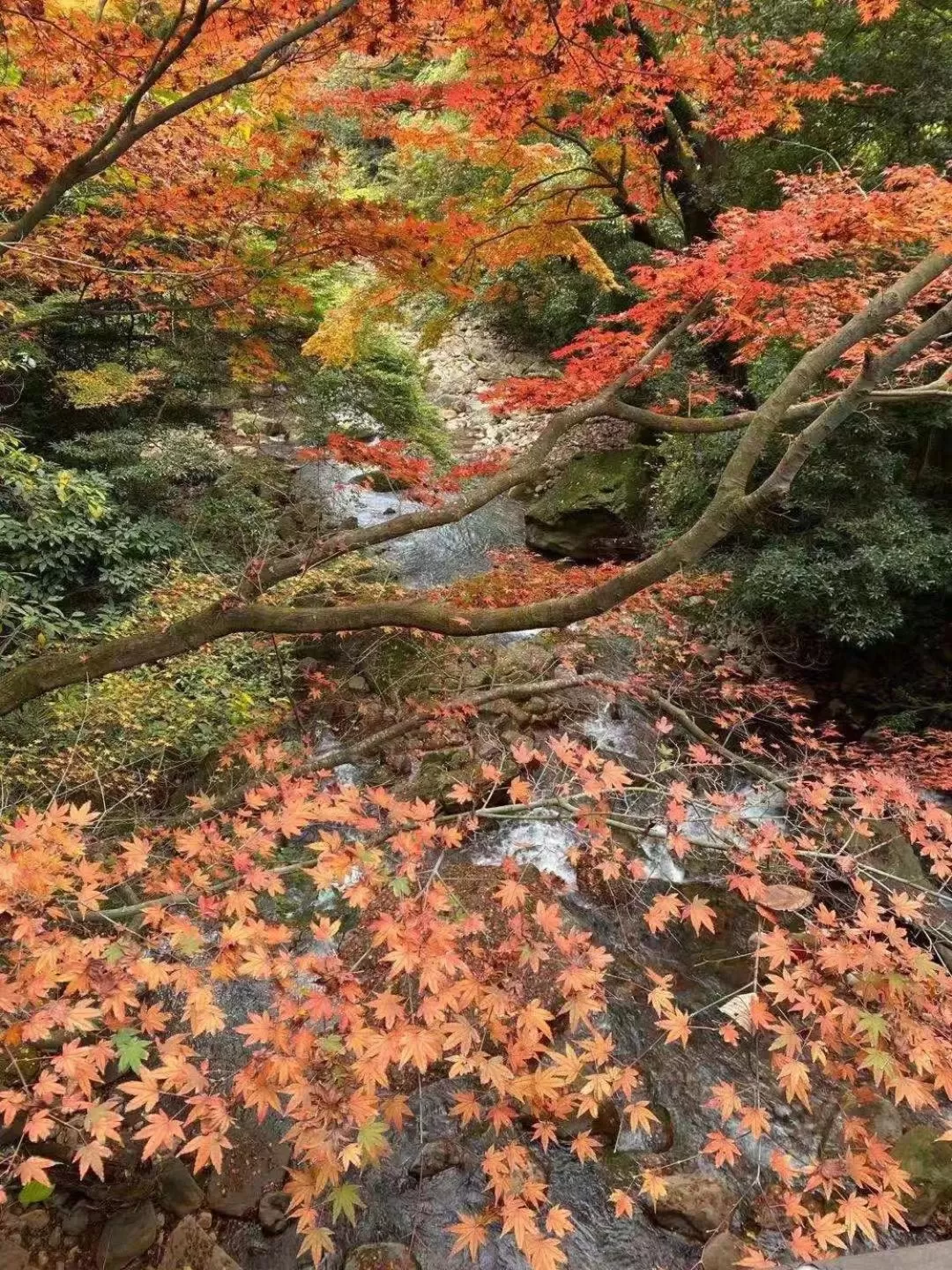 Natural Landscape in Hoshi no Sato