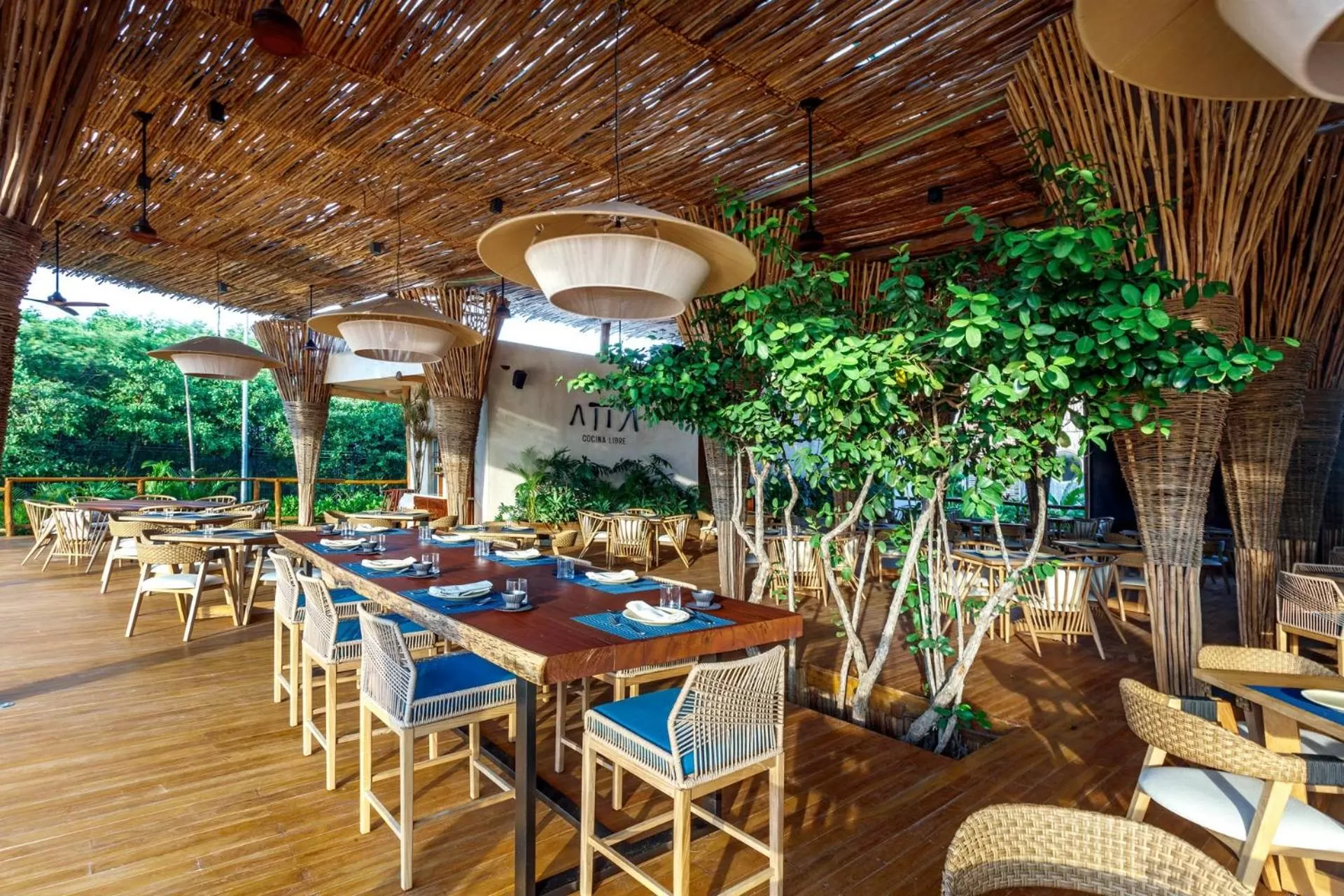 Restaurant/places to eat in Hotel Shibari - Restaurant & Cenote Club