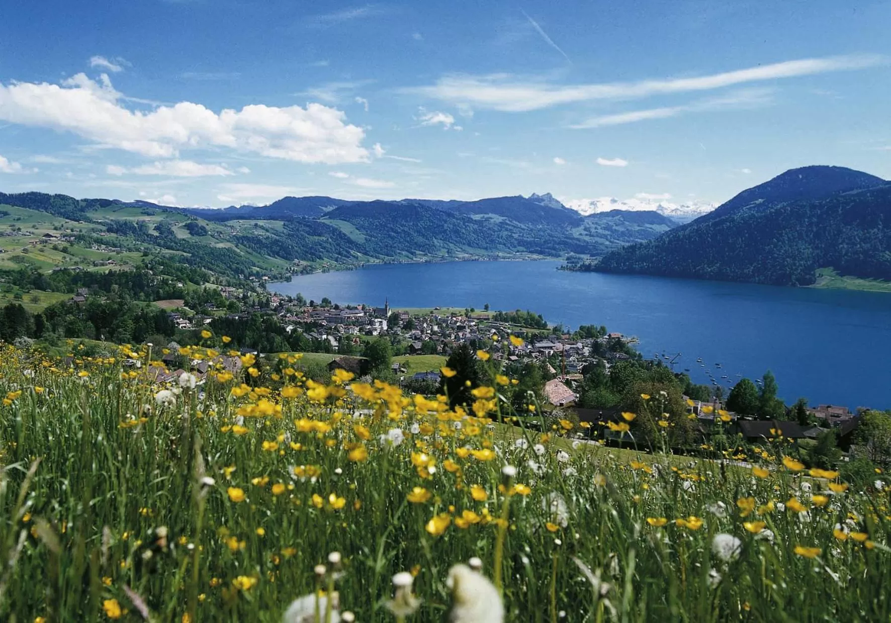 Day in SeminarHotel am Ägerisee