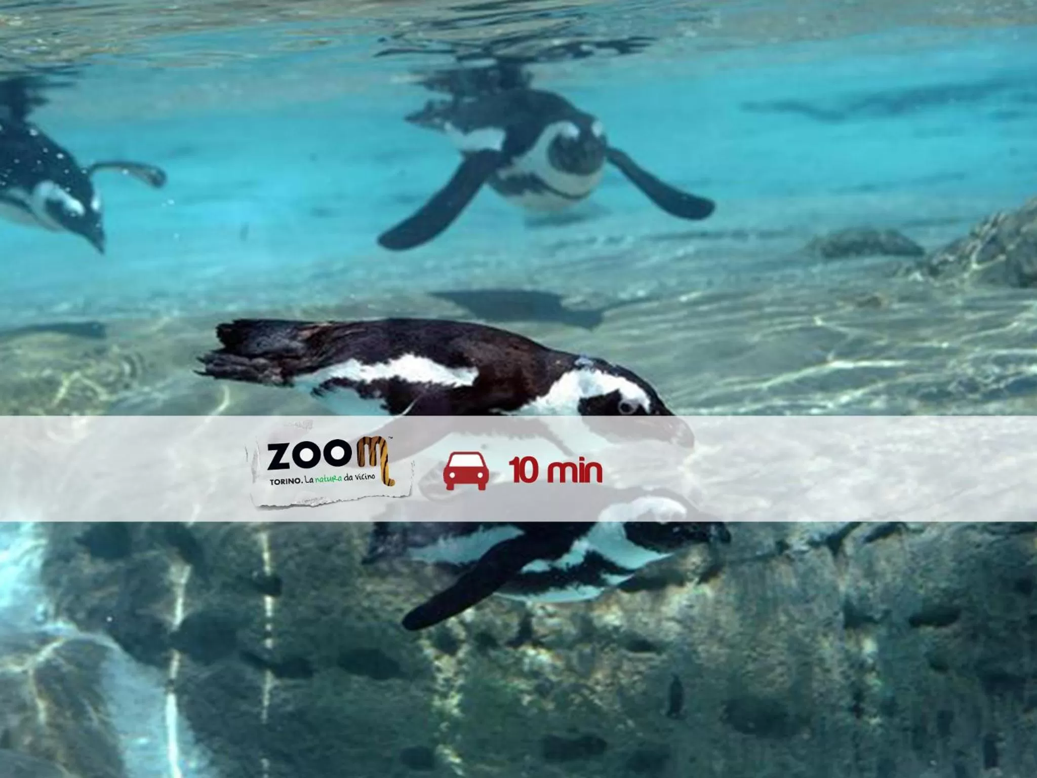 Natural landscape in Hotel Villa Glicini