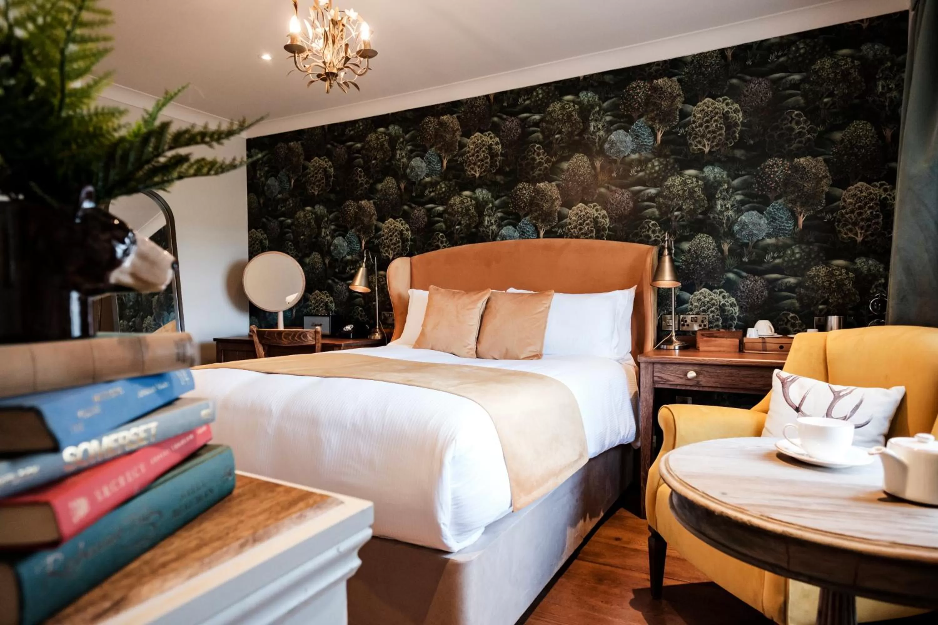 Bed in Bear Of Burton