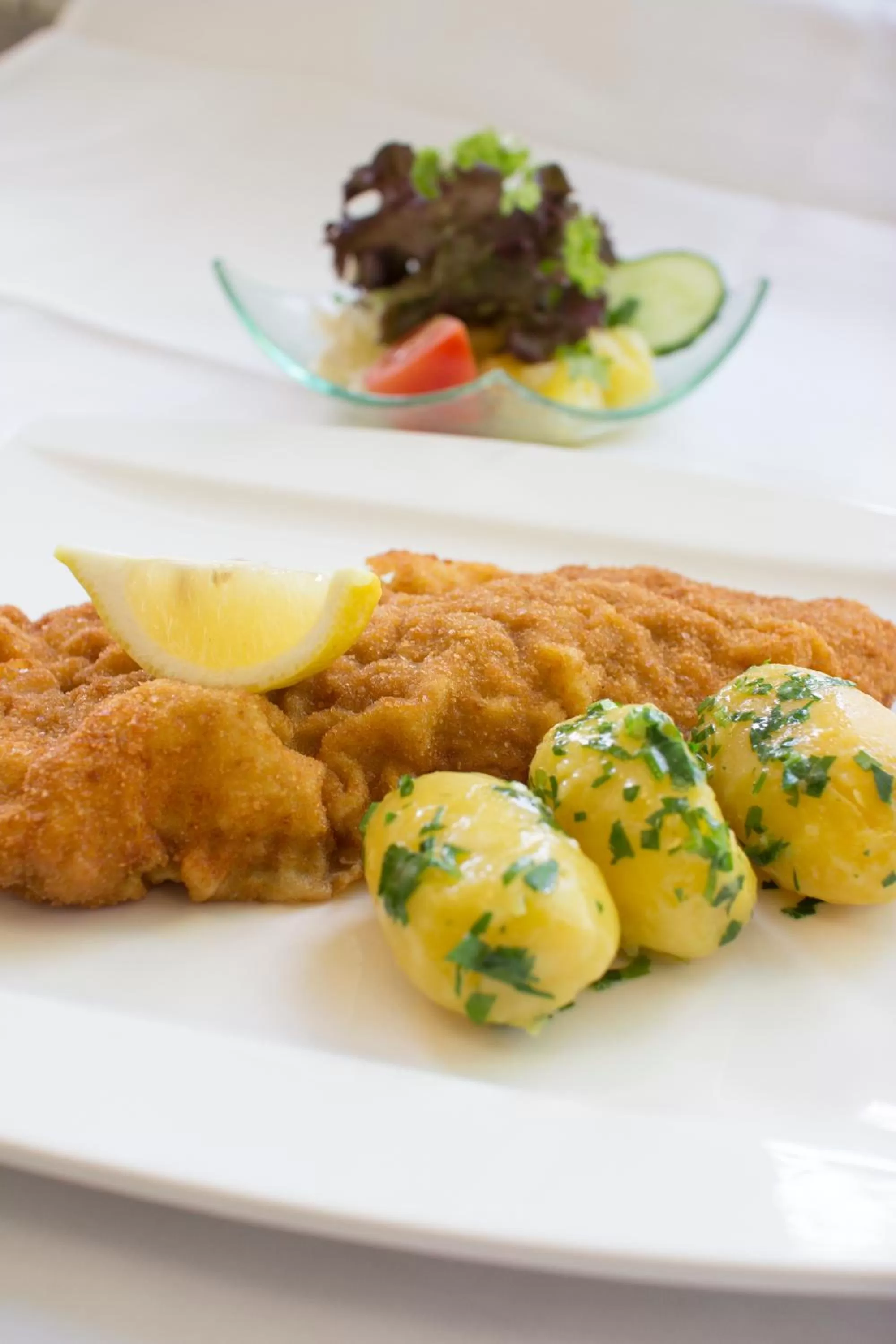 Food and drinks in Gastwirtschaft & Hotel Holzinger