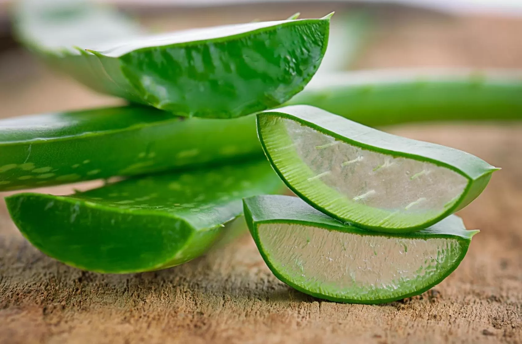 Spa and wellness centre/facilities in Logis Hôtel Kur- und Wellnesshaus Spree Balance