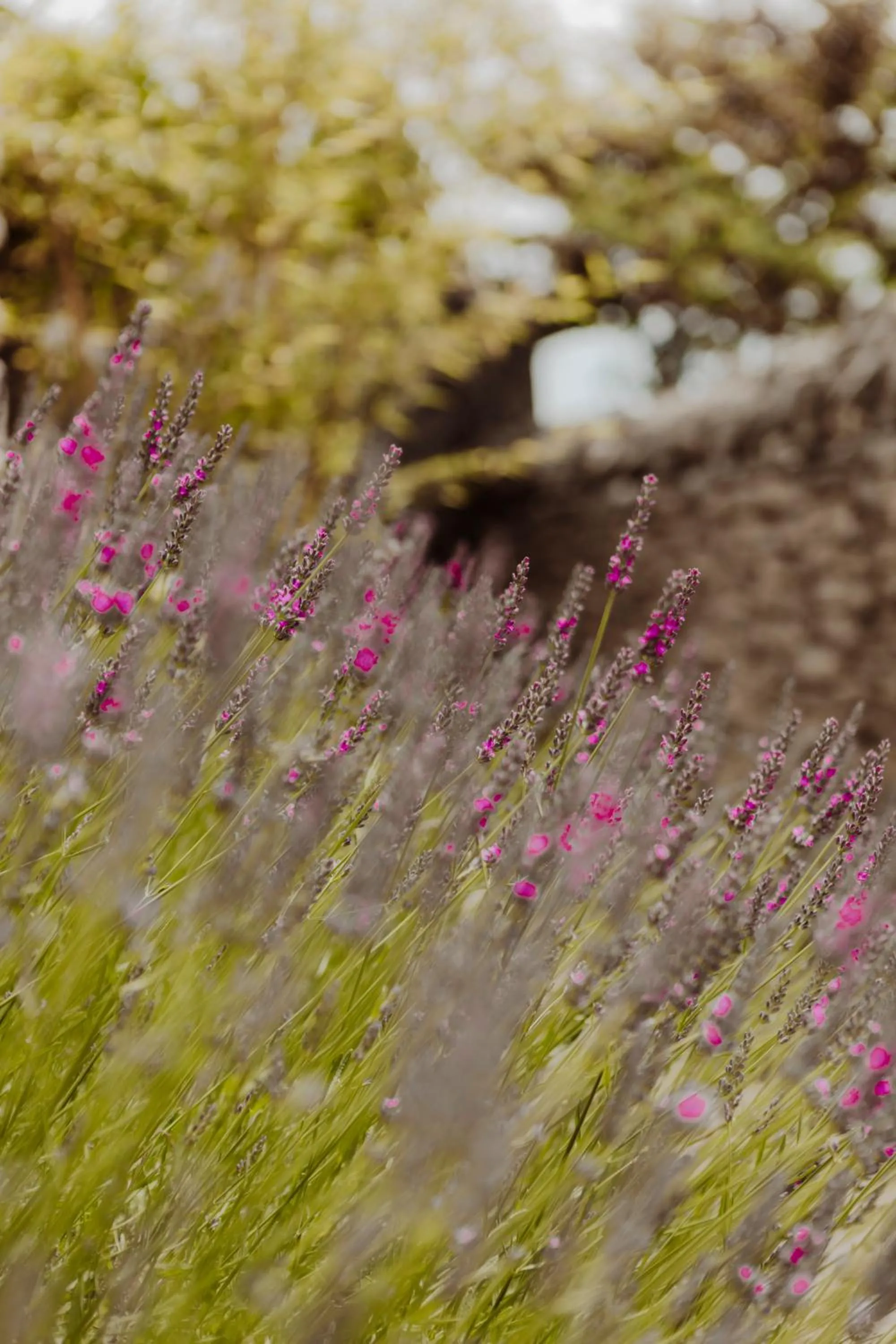 Patio in Mas des Romarins, The Originals Relais