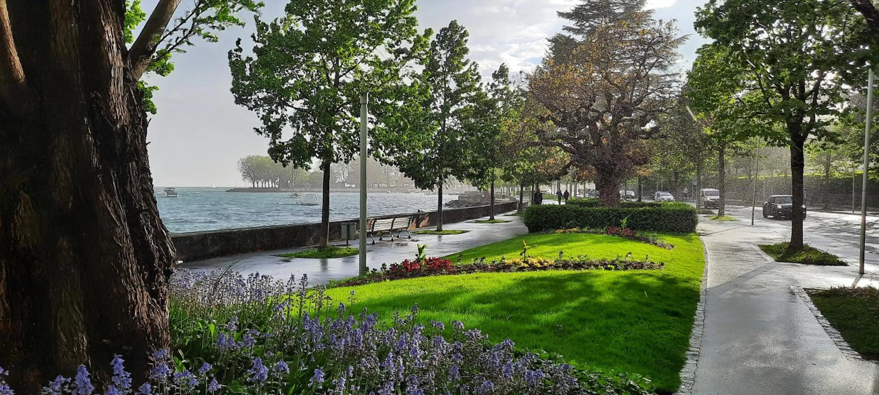 Natural landscape in Tulip Inn Beaulieu Lausanne