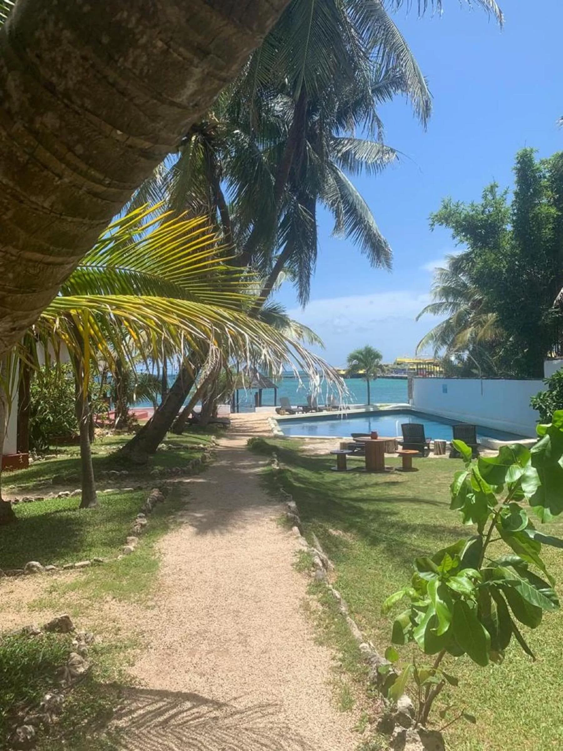 Swimming pool in Casa CARIBE Cancun