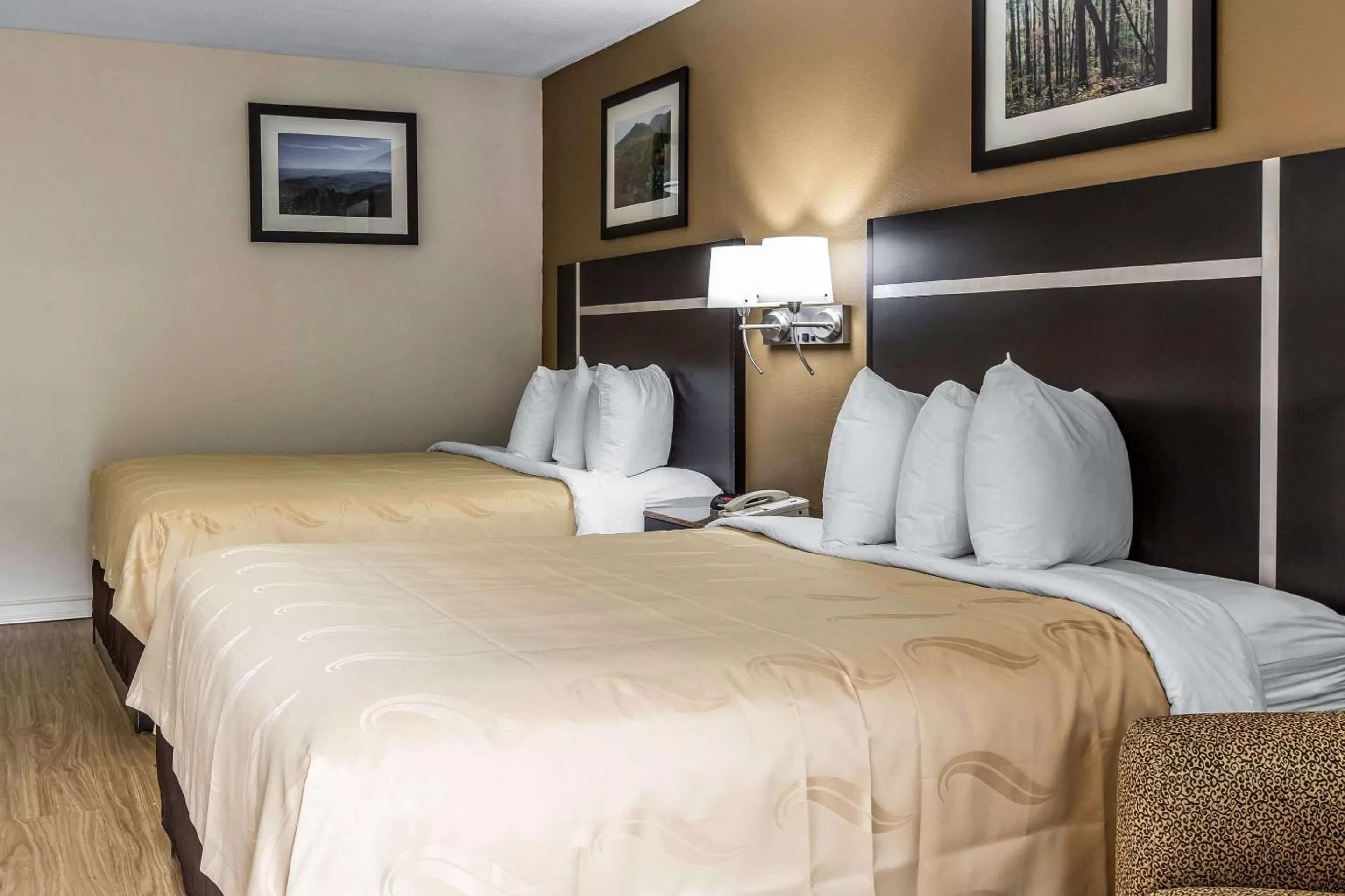 Photo of the whole room, Bed in Quality Inn & Suites Gatlinburg North