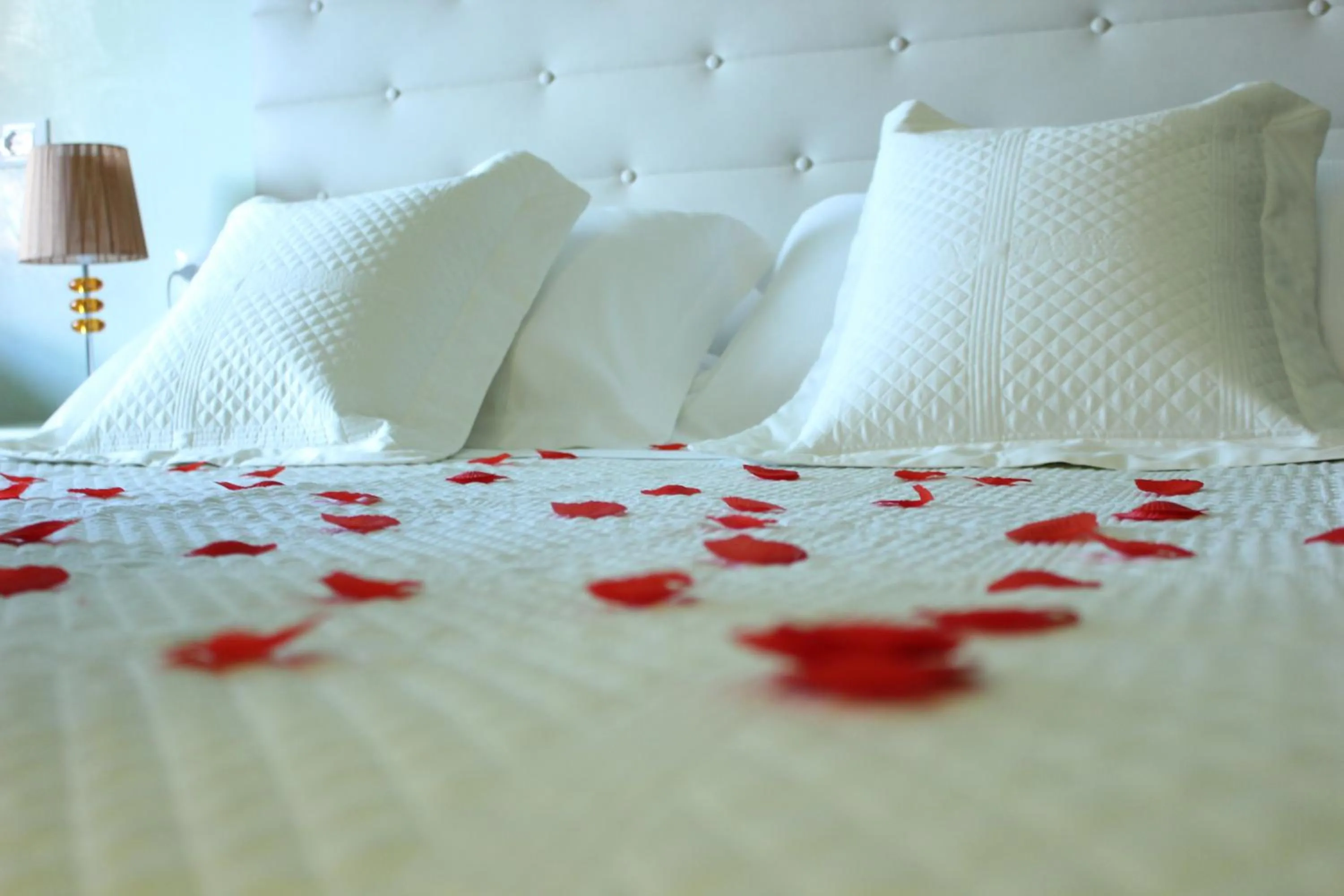 Decorative detail, Bed in Locanda Navona