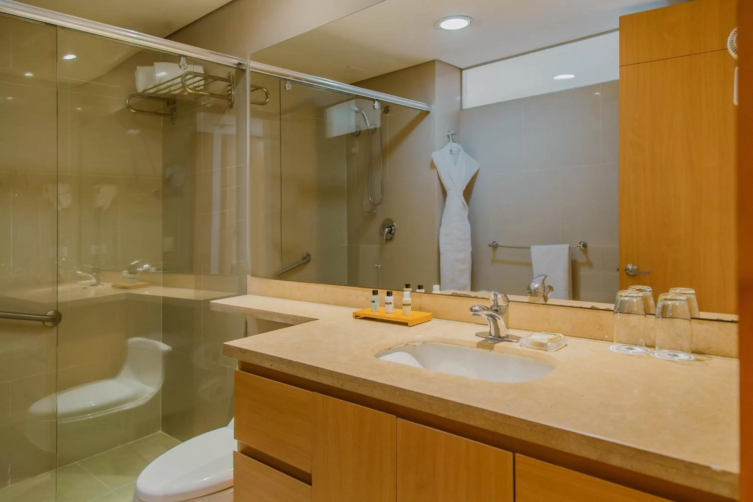 Toilet in Faranda Collection Bogota, a member of Radisson Individuals