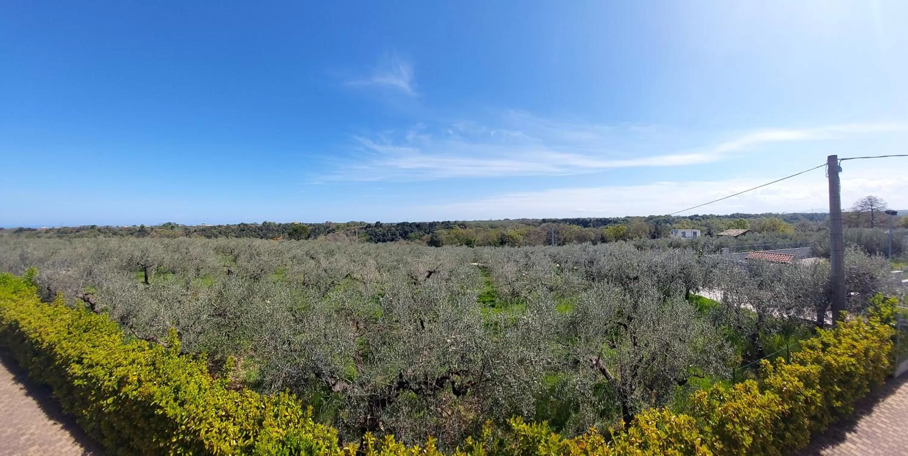 Natural Landscape in B&B Villa Mia