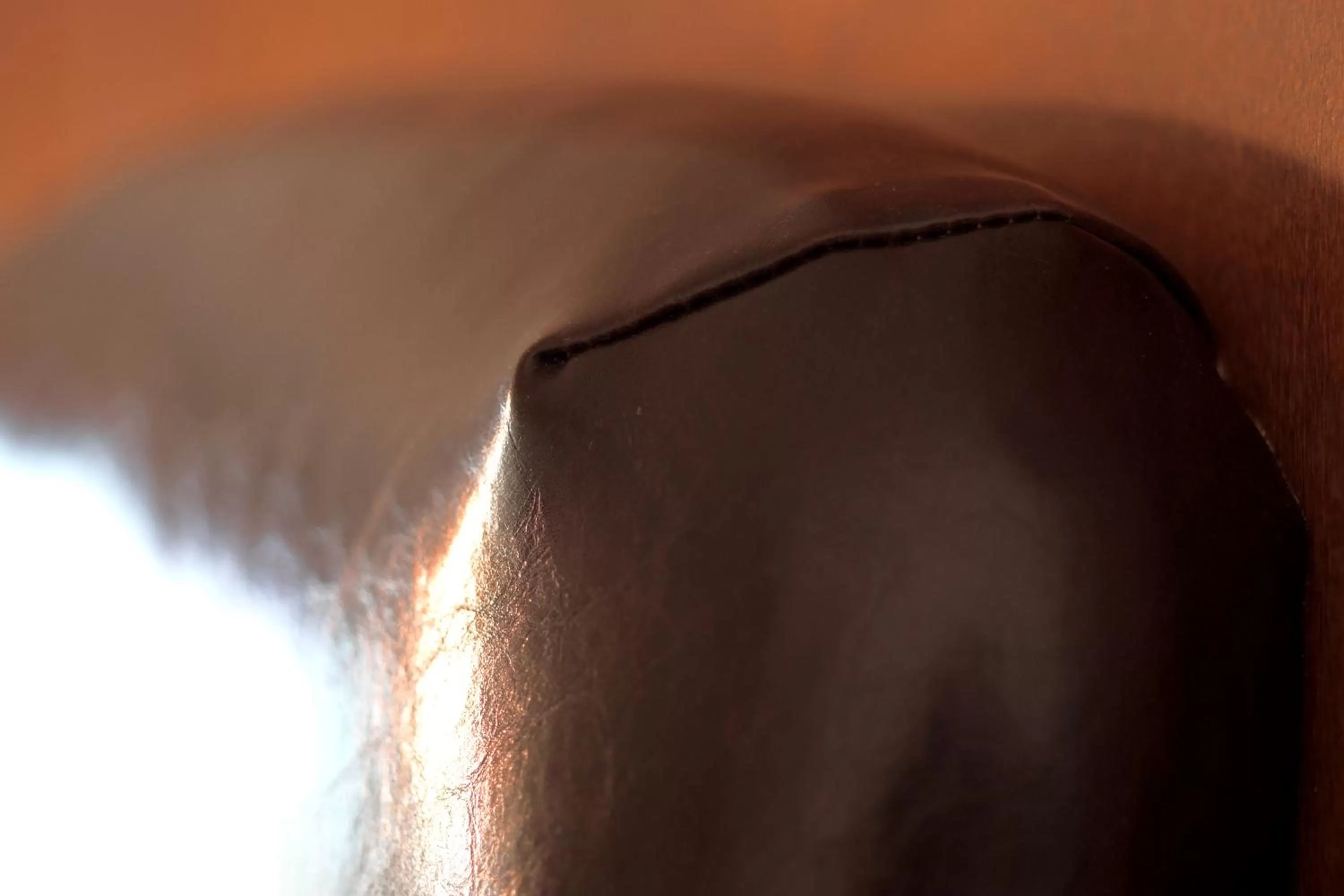 Decorative detail in The Antlers, a Wyndham Hotel