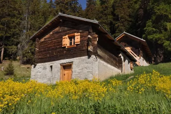 Summer, Property Building in Le Mayen de Colombire